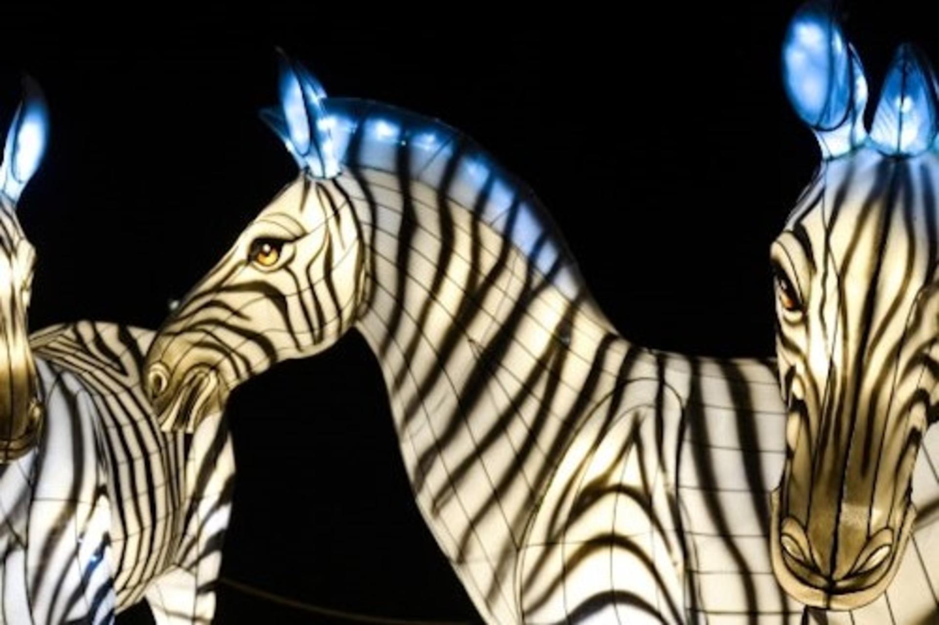 Bronx Zoo Ticket in New York - Thumbnail 6