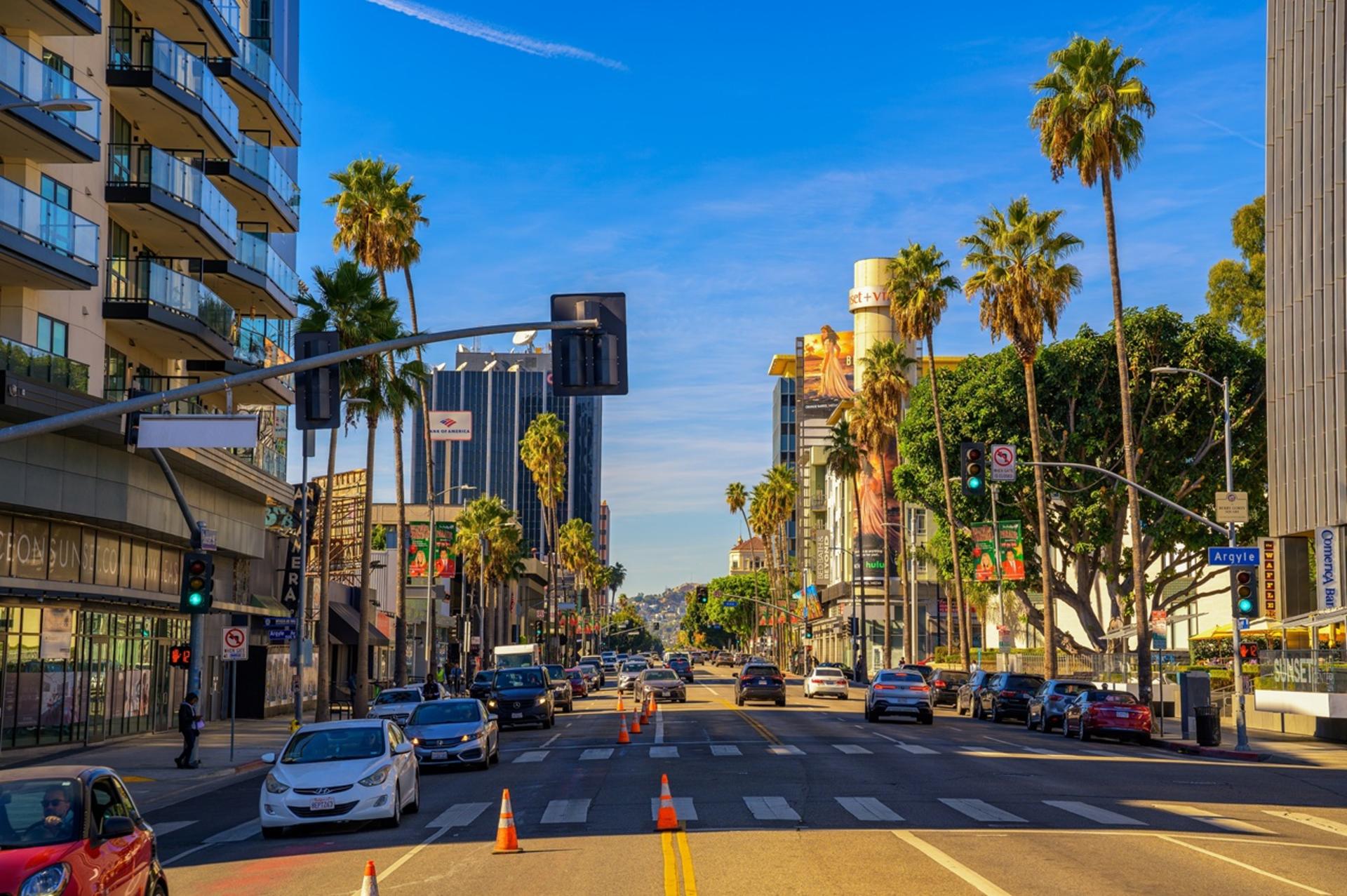 Los Angeles private  full day or half day sightseeing trip - Thumbnail 2