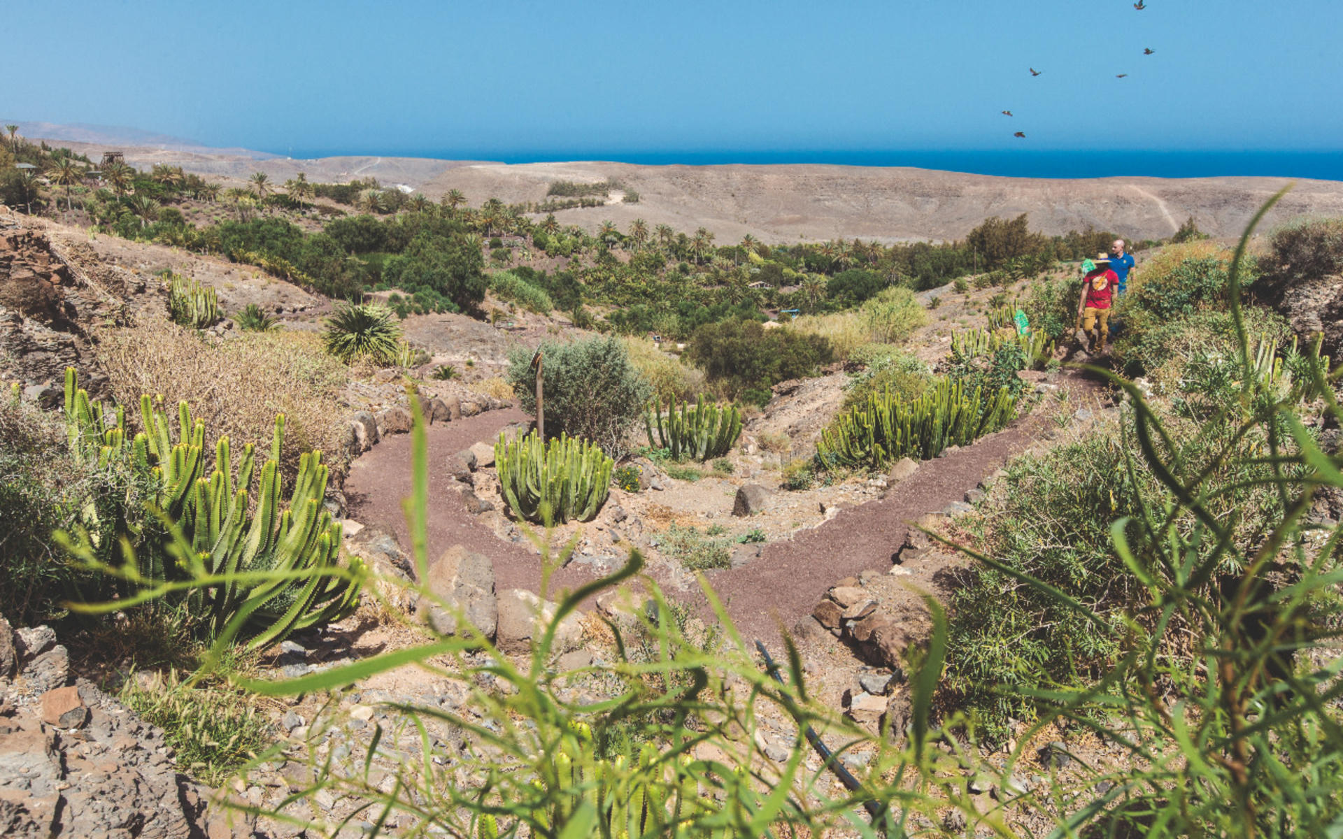 Oasis Wildlife Fuerteventura ticket - Thumbnail 3