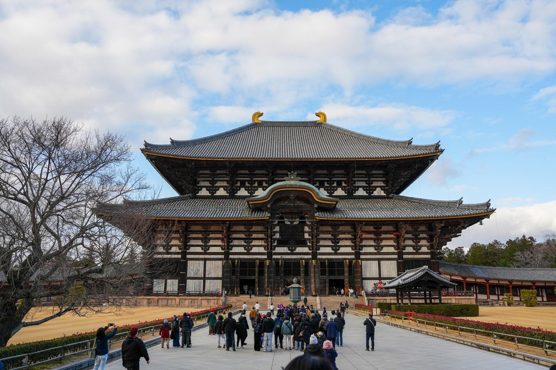 1-Day Nara & Osaka Private Highlights Day Tour  - Thumbnail 23