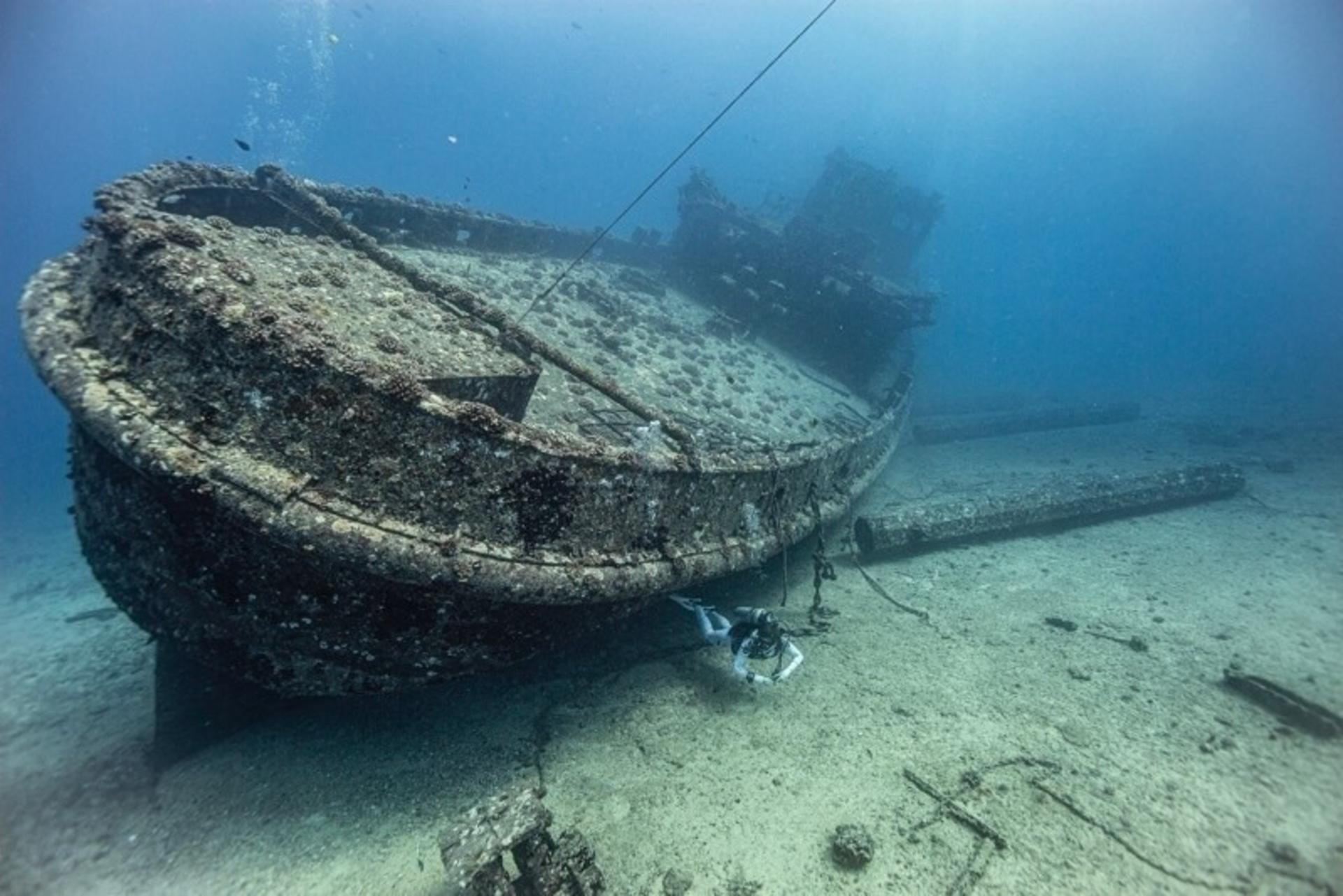 Wreck and Reef Tour in Oahu - Image 1