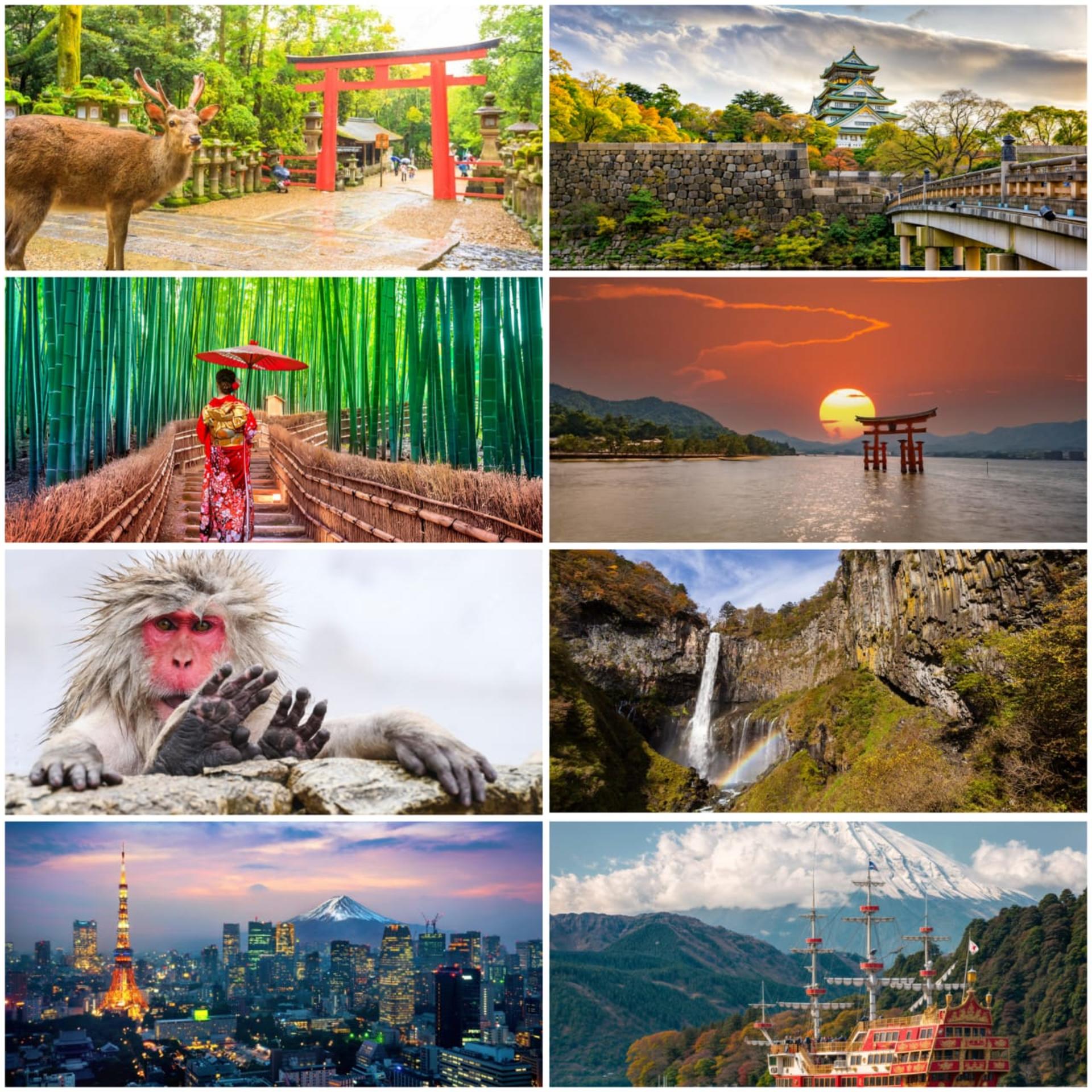 10 Day Japan Private Tour Unveiling Maximum Attractions - Image 1