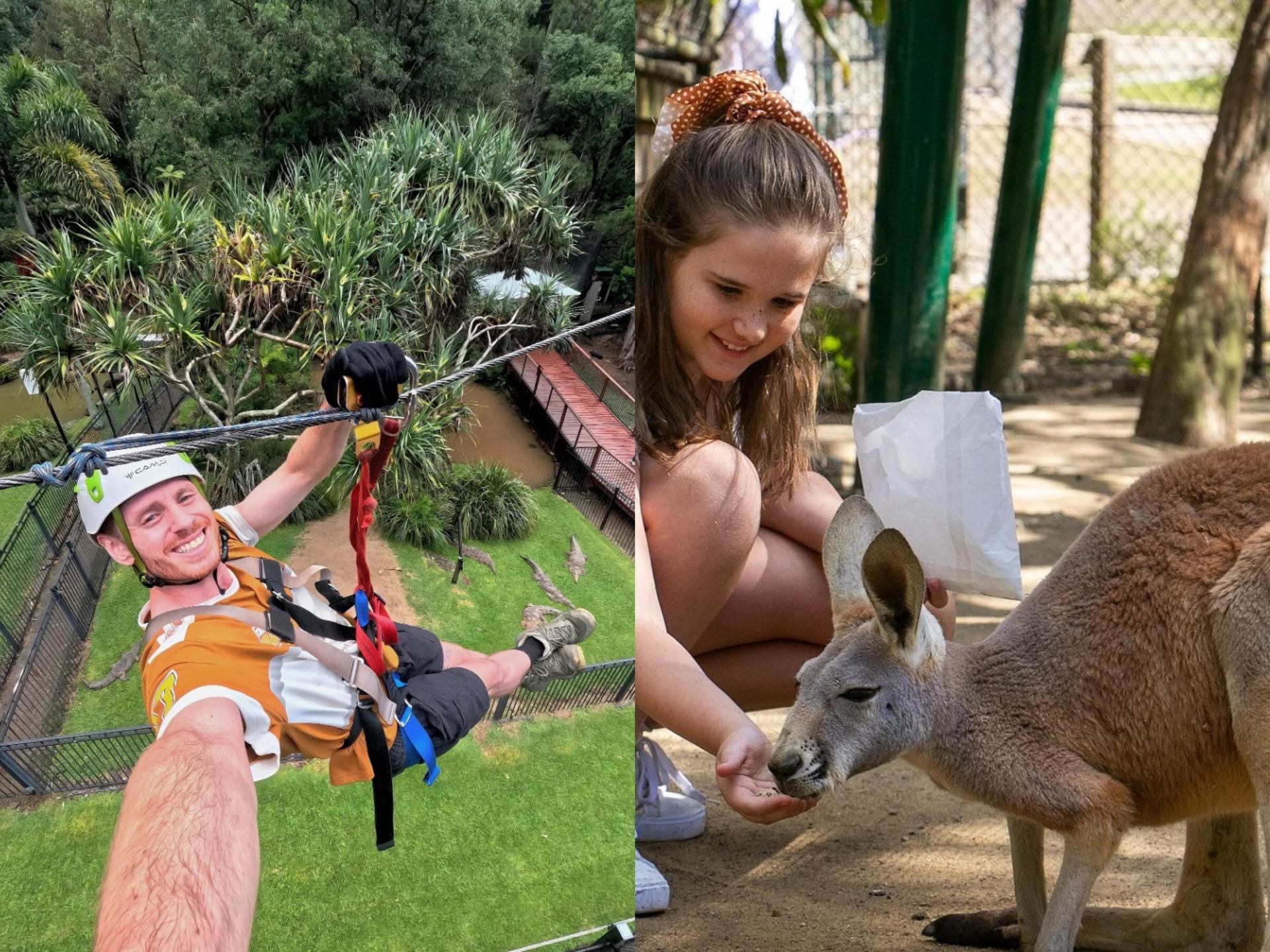 Experience Pass Currumbin Wildlife Sanctuary and Zipline - Thumbnail 3