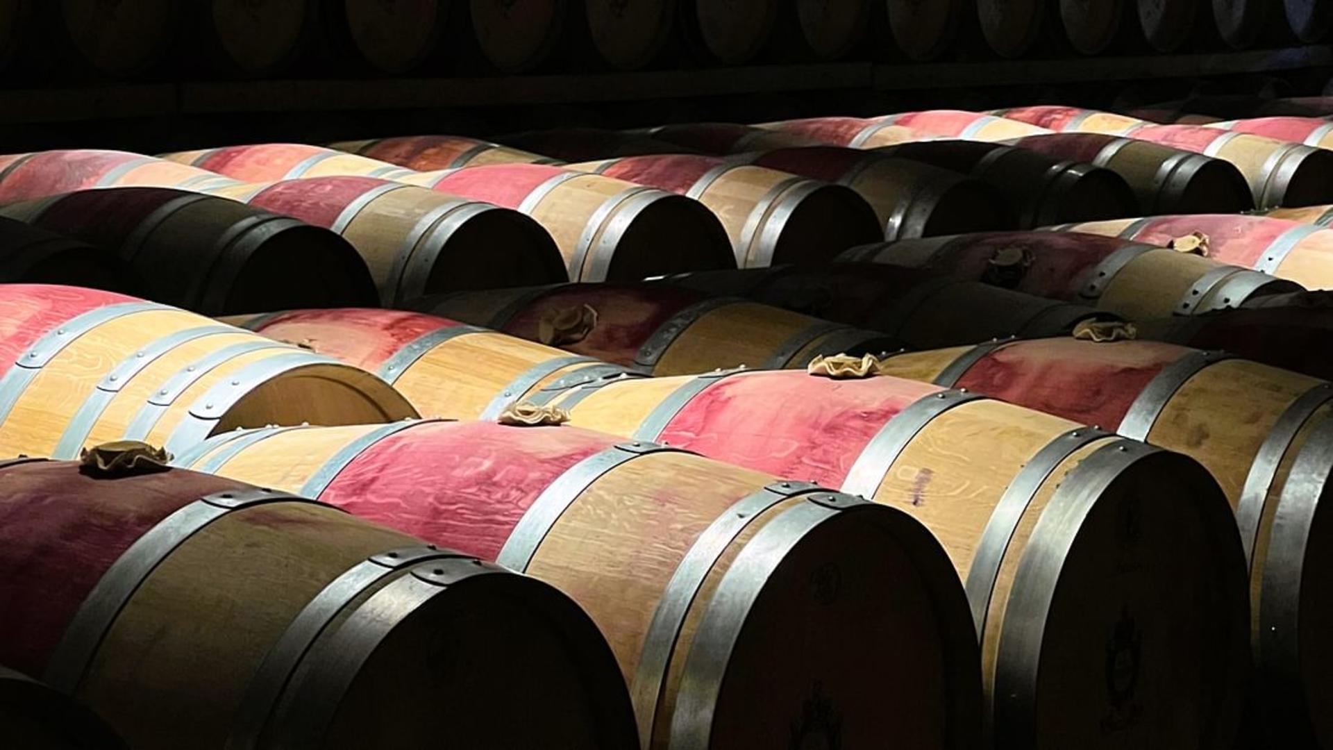 Medoc and Saint Emilion Wine Tour from Bordeaux - Thumbnail 4