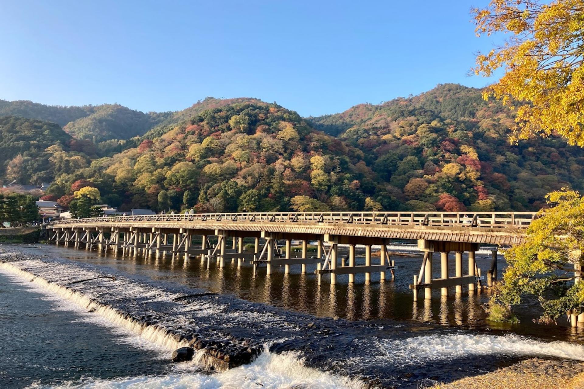 Kyoto Private One Day Tour with Hotel Pick-up from Osaka/Kyoto/Kobe - Thumbnail 3