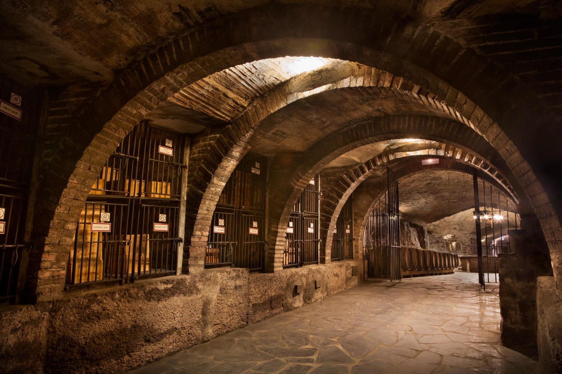 San Sebastian to La Rioja wine experience with tastings and vineyard visits - Thumbnail 6