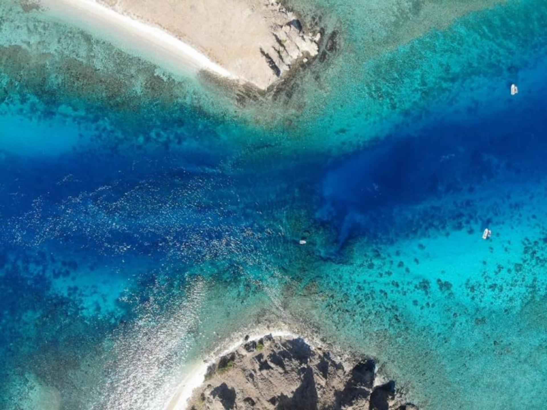 Full Day Dive Trip from Labuan Bajo by Dragon Dive Komodo - Thumbnail 4