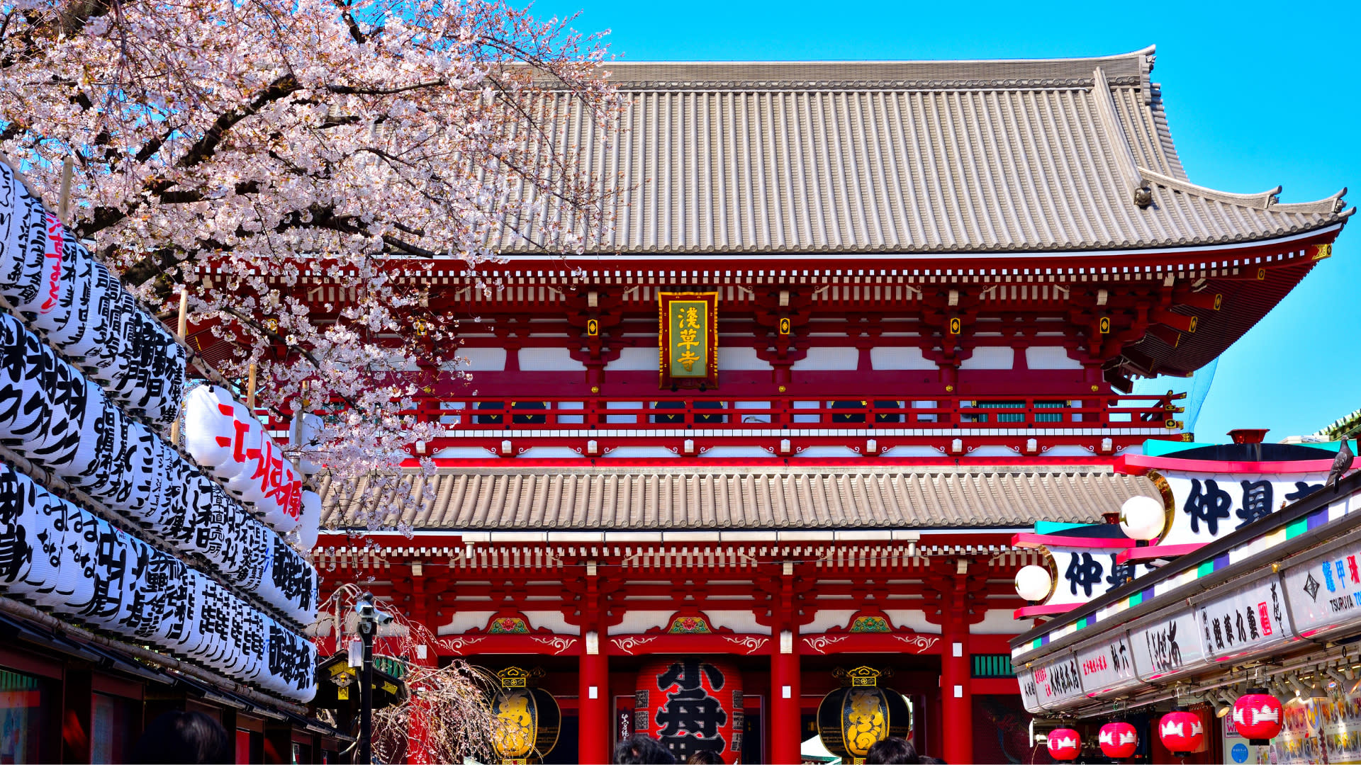 Asakusa, Kappabashi, and Ueno Walking Tour: Experience Tokyo's History and Culture in 3 Hours - Thumbnail 9