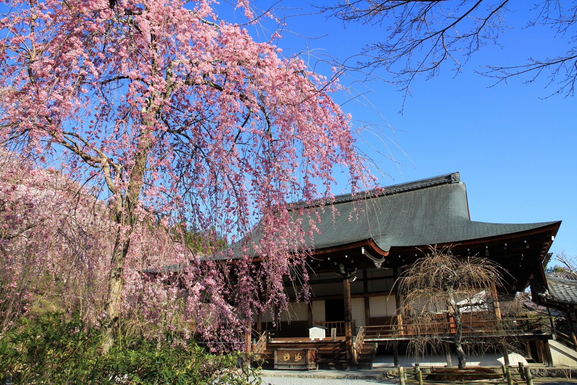Kyoto Arashiyama Walking Tour: Sagano Bamboo Grove & Tenryu-ji - Thumbnail 11