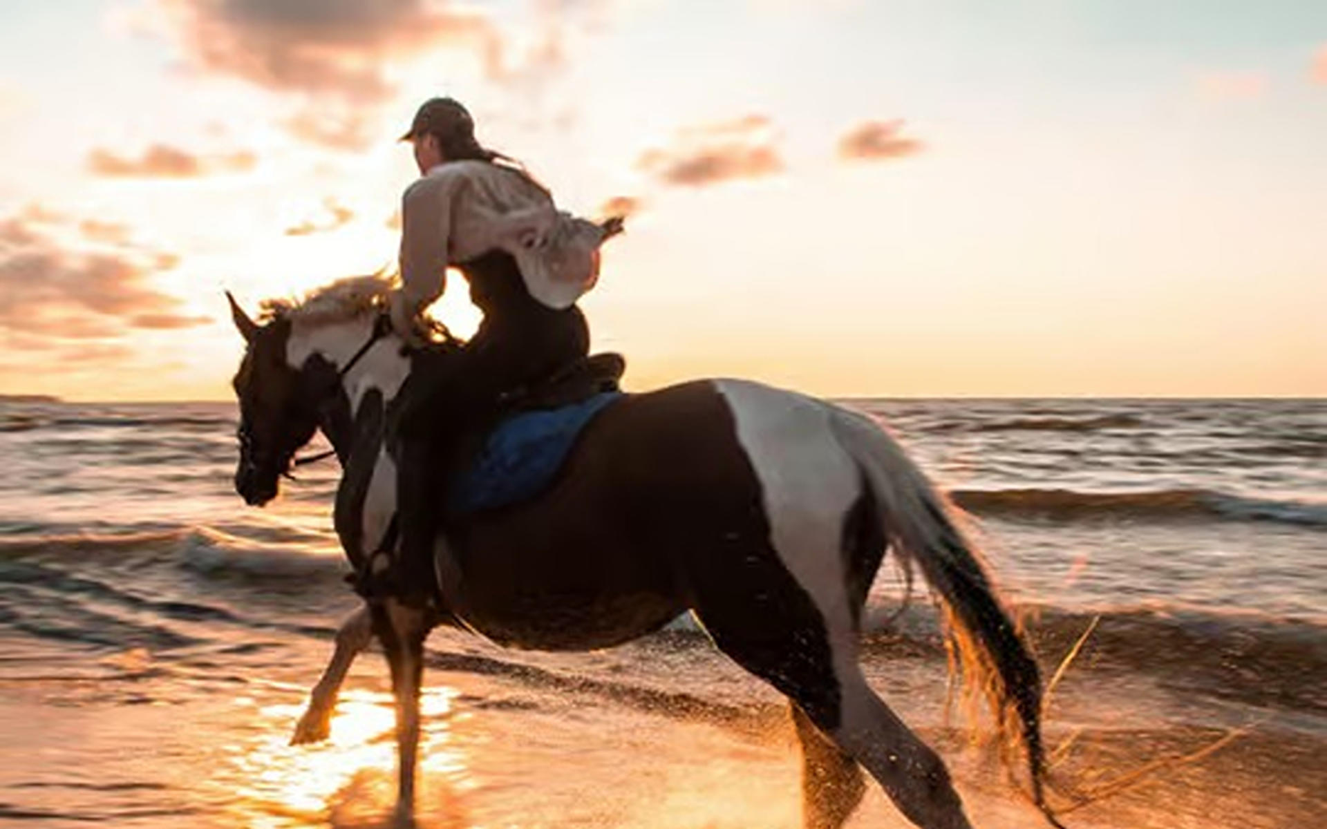 Antalya Horse Riding Experience - Thumbnail 6