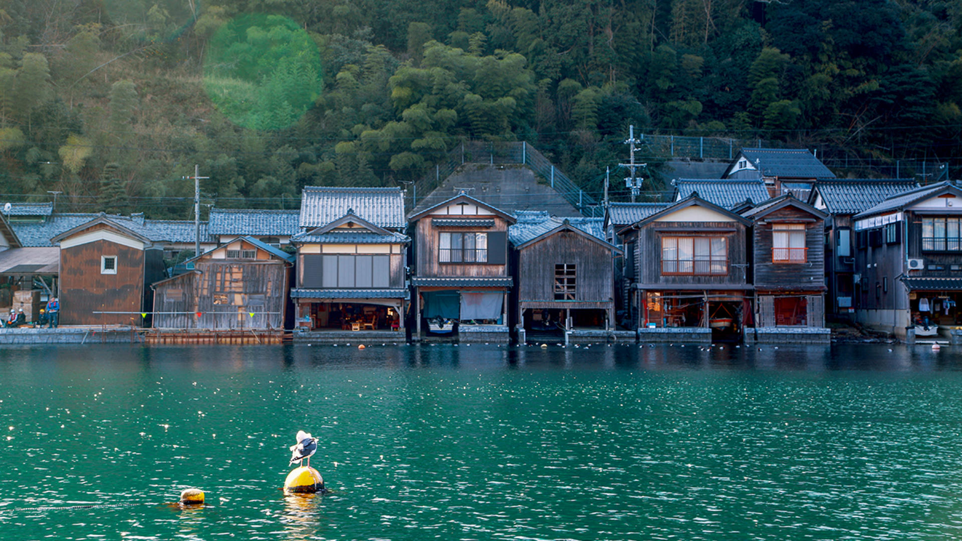 Kyoto & Nara & Amanohashidate 2-Day Tour - Free Shrimp Sticks for Feeding Seagulls (Accommodation Not Included) - Thumbnail 15