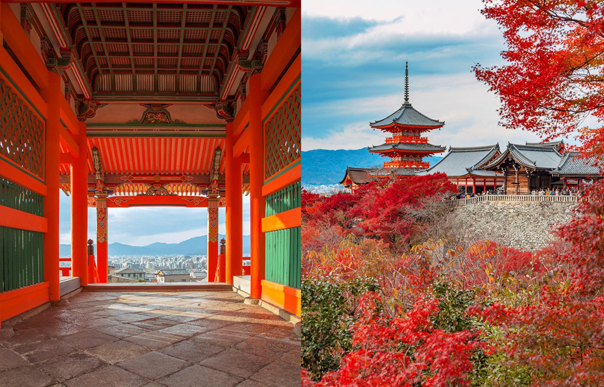 Kyoto Nara Day Trip │ Kiyomizu-dera Temple + Fushimi Inari-taisha Shrine + Nara Park (Departing from Osaka/Kyoto) - Thumbnail 30
