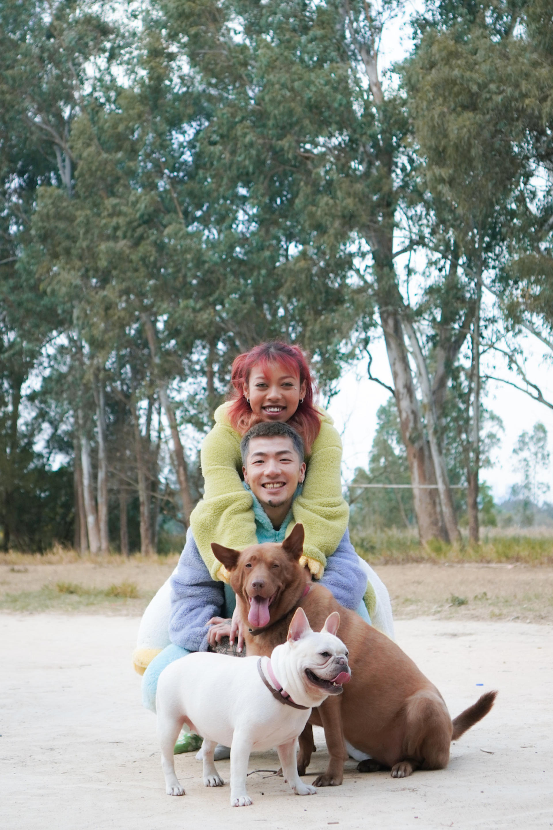 Kate.jpggg - Pet Photography (Custom Location - 2-Hour Shoot) - Thumbnail 6