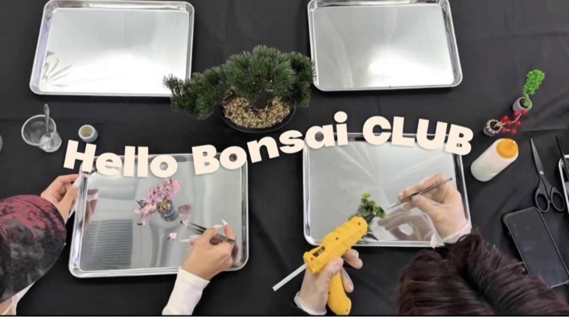 Kyoto:Make Your Own Mini Bonsai Workshop – Take It Home - Thumbnail 7