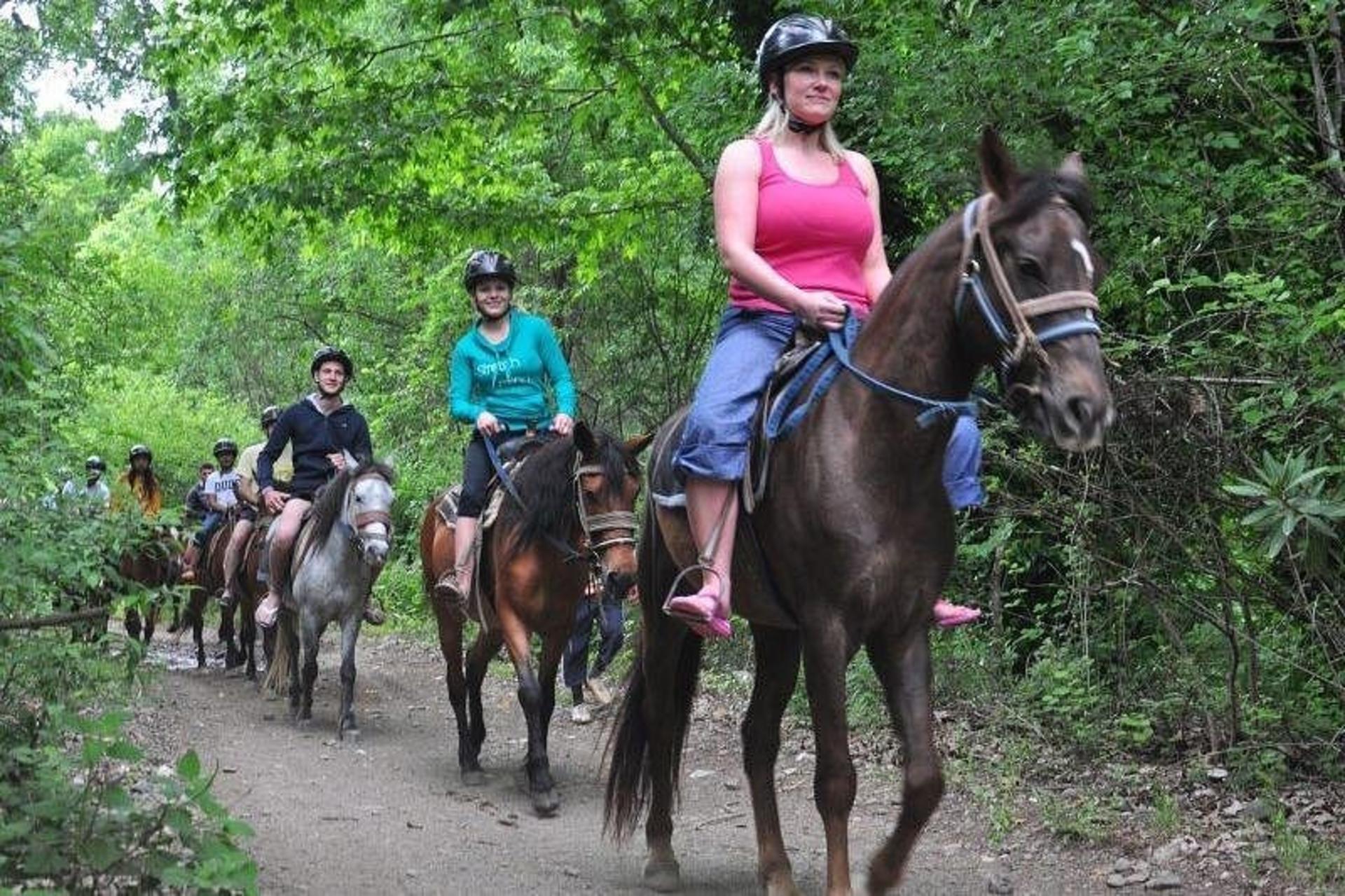 Kusadasi Horse Riding Experience with Transfer - Thumbnail 3