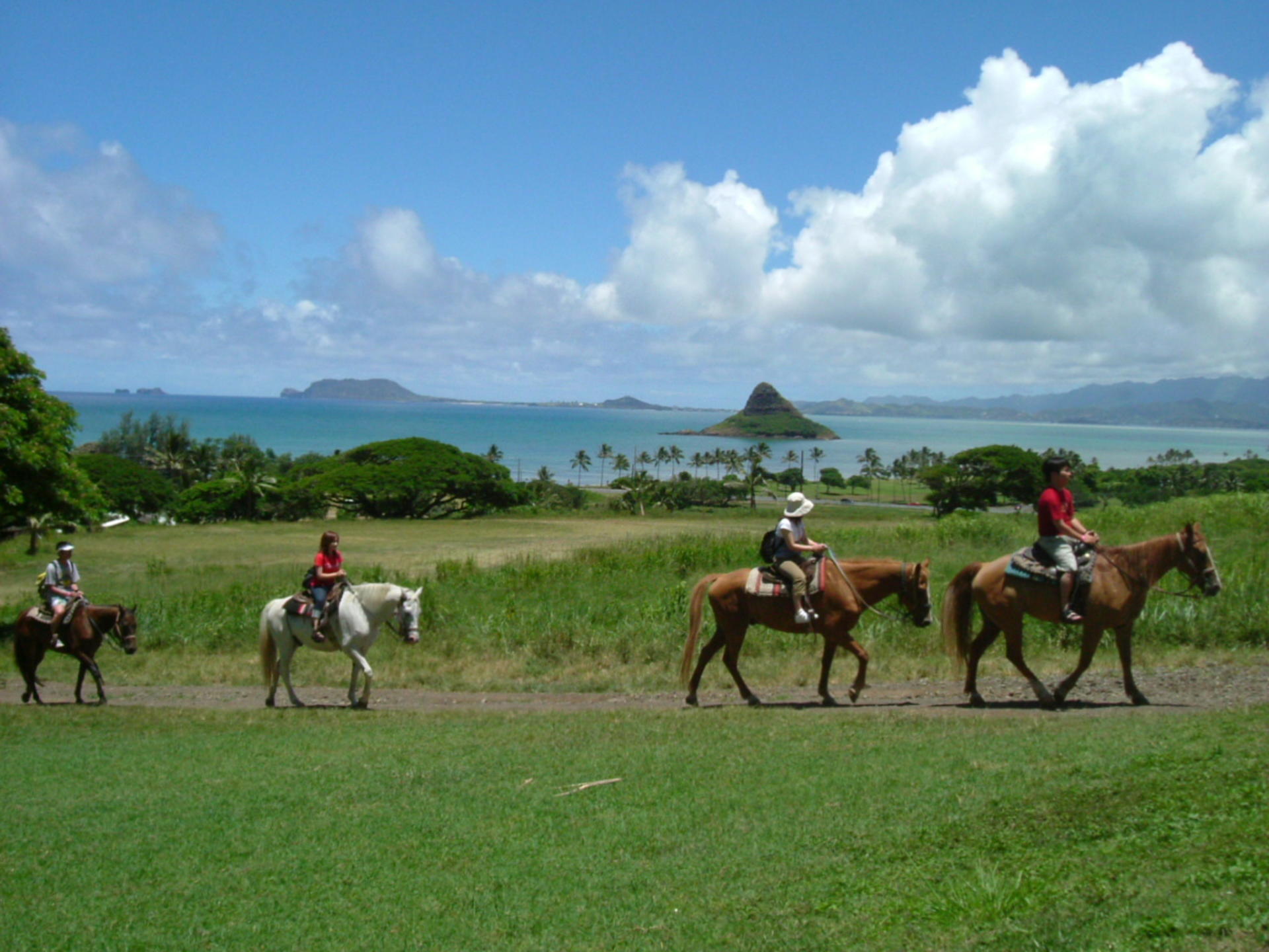 Kualoa Jurassic Valley Horseback Guided Tour - Thumbnail 4