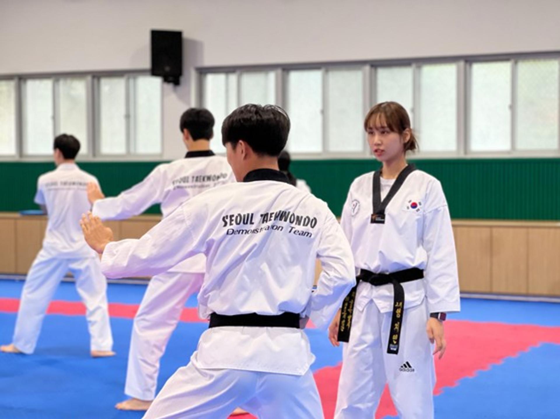 Seoul Korean Traditional Taekwondo One Day Class in Gangnam - Thumbnail 4