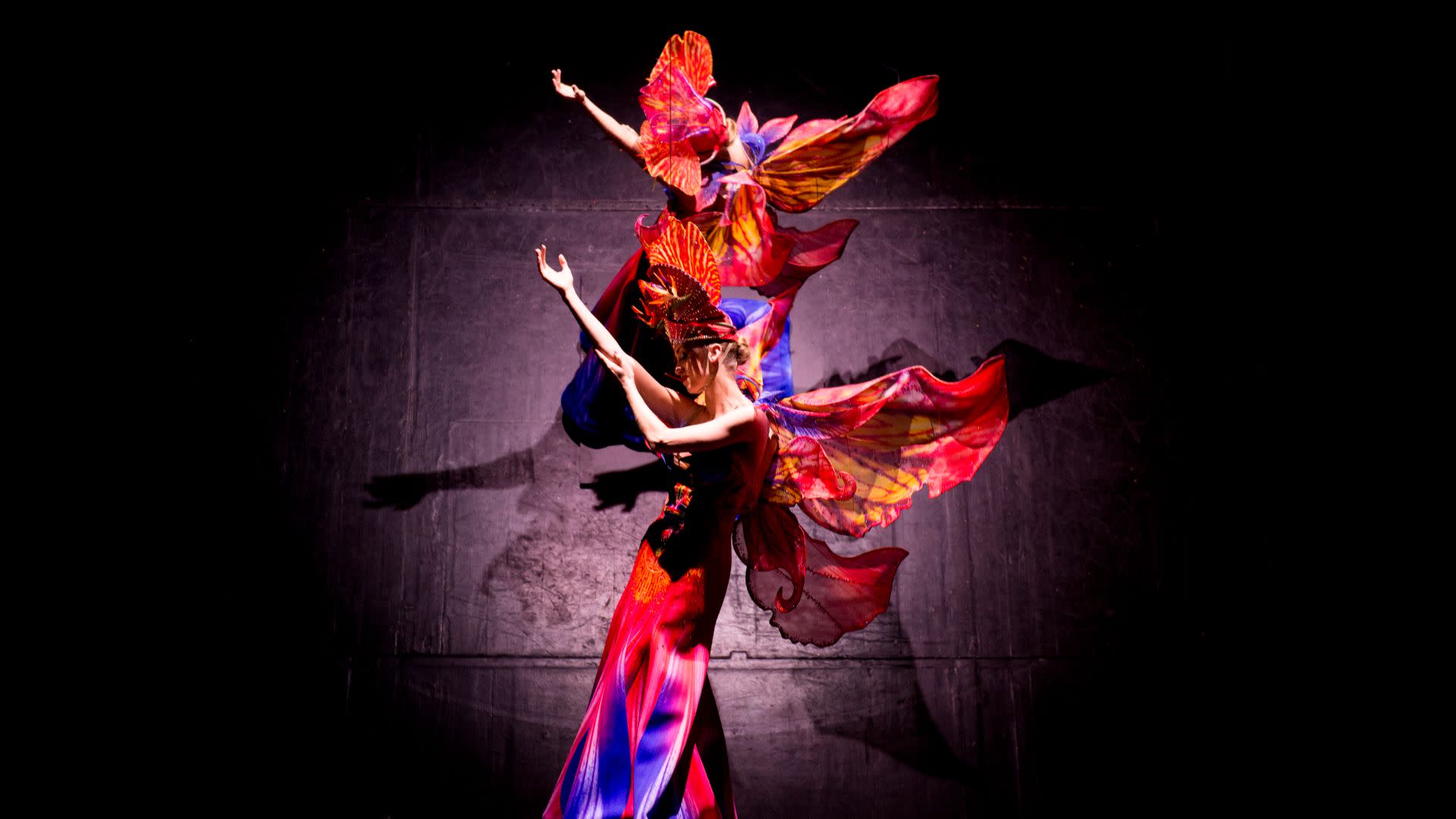 Paradis Latin Show Ticket - Thumbnail 7