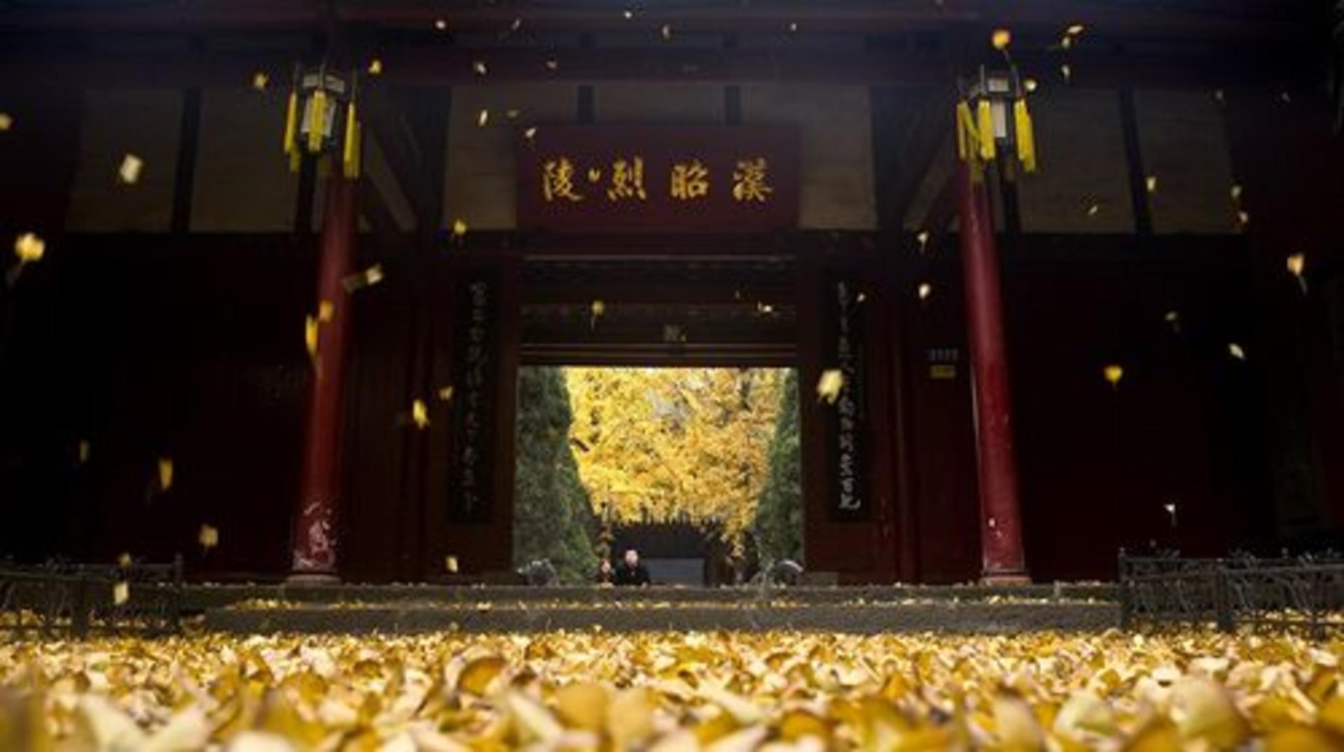 Wuhou Temple - Thumbnail 2