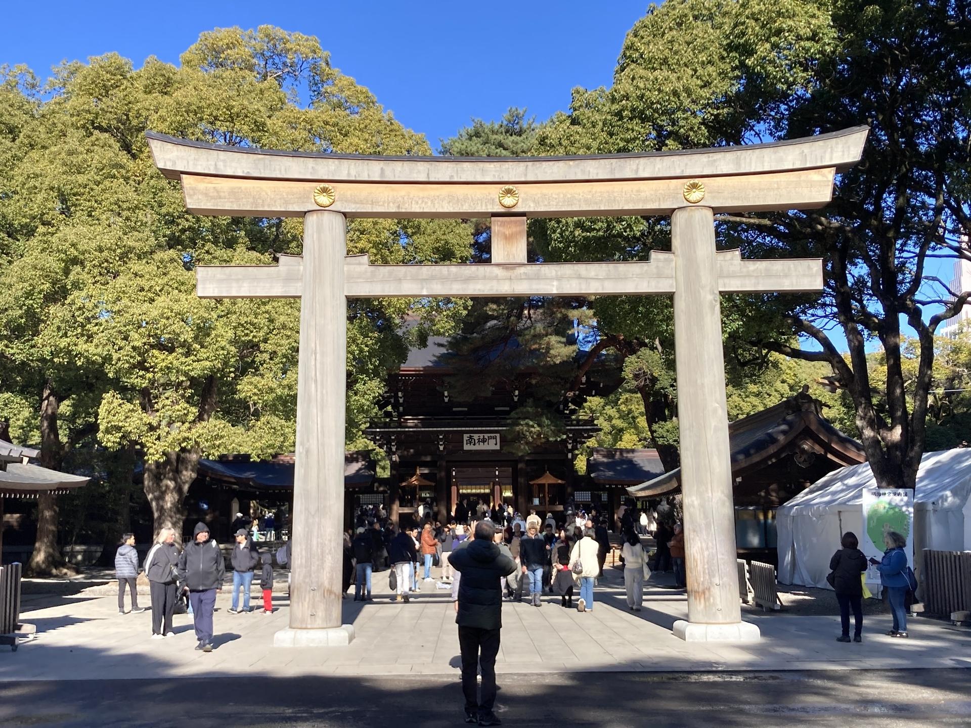 Tokyo: Meiji Jingu Historical Walking Tour with an expert guide - Image 1