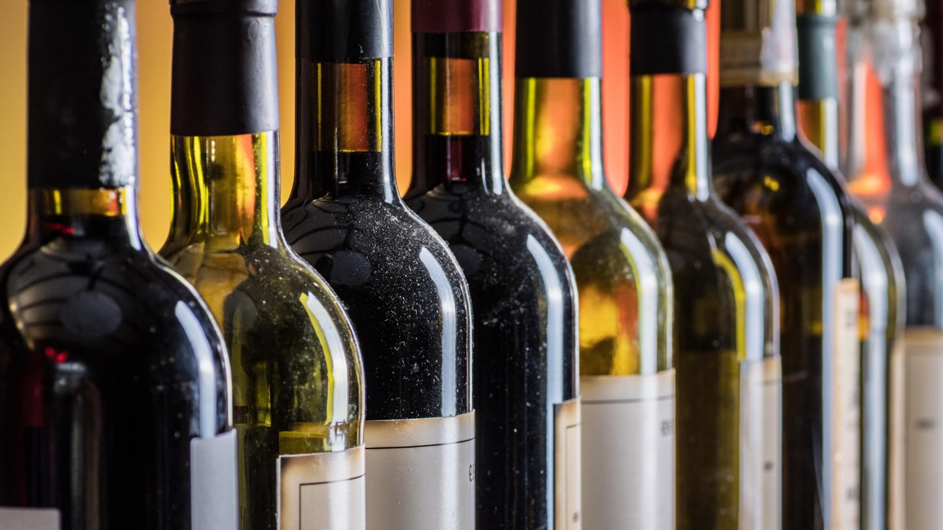 Exclusive wine tasting private tour in Rome  - Thumbnail 4