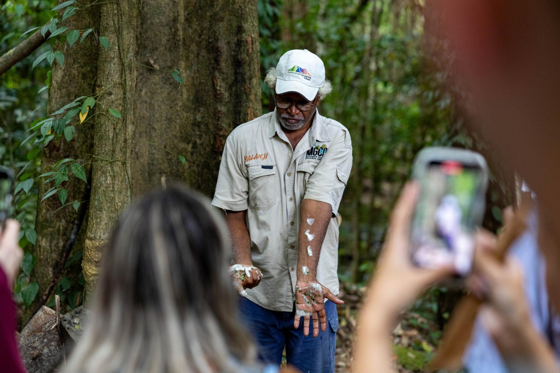 Daintree Rainforest & Mossman Gorge Day Tour from Cairns - Image 1