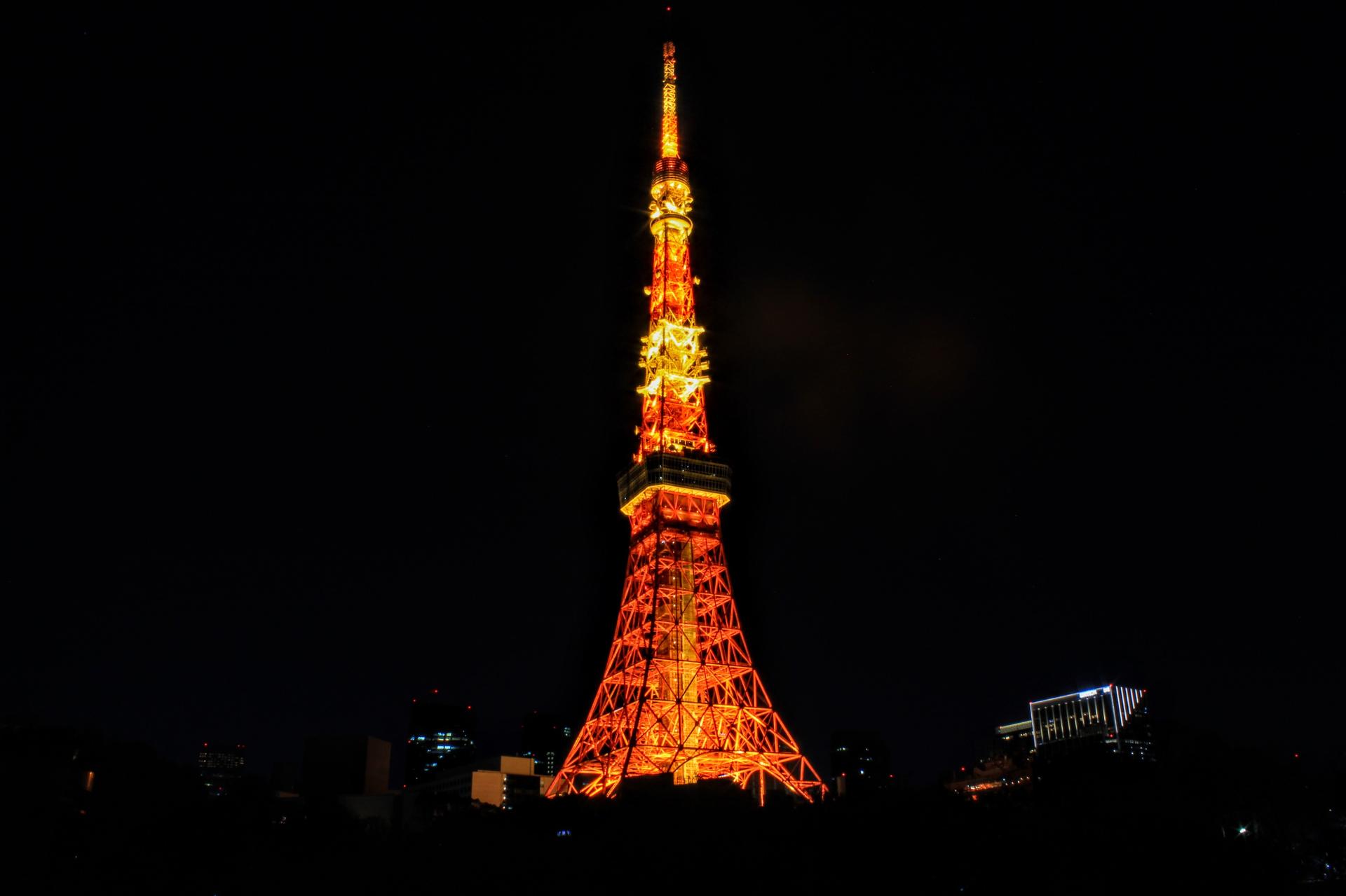 Tokyo Amazing Sightseeing Bus Day Tour by Professional guide - Thumbnail 16
