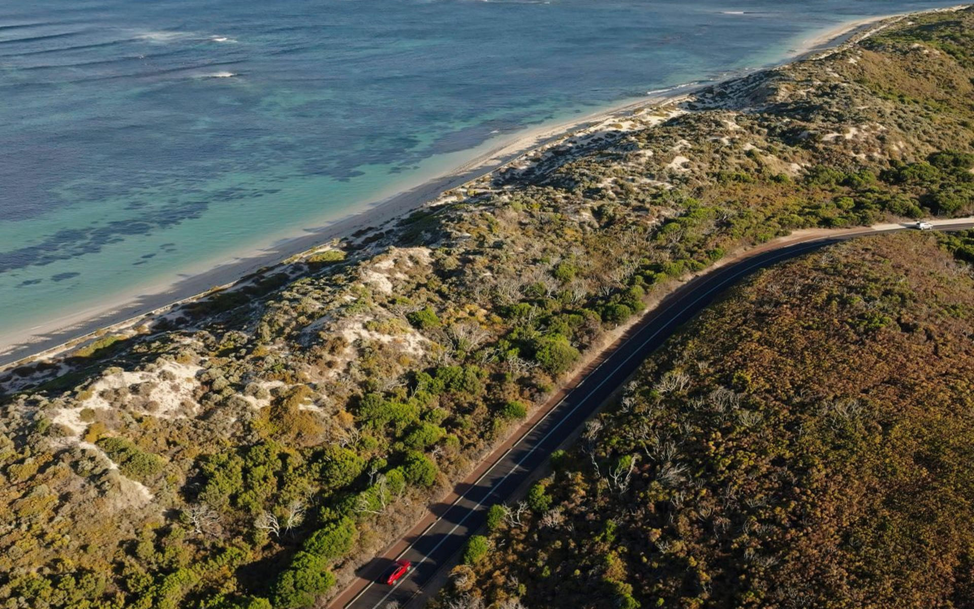 Margaret River Food, Wine & Coastal Highlights Tour - Image 1