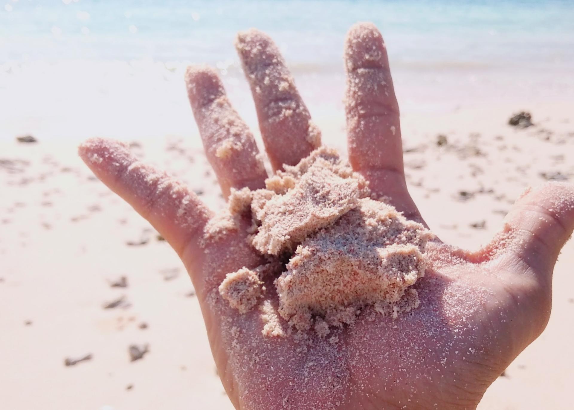 Pulau Pasir, Pink Beach, and Semangko Beach Private Tour in Lombok - Thumbnail 5