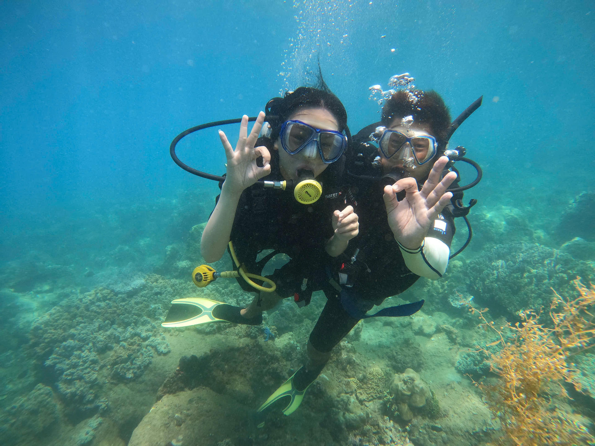 Scuba Diving Experience at Coral Reef from Nha Trang - Thumbnail 8