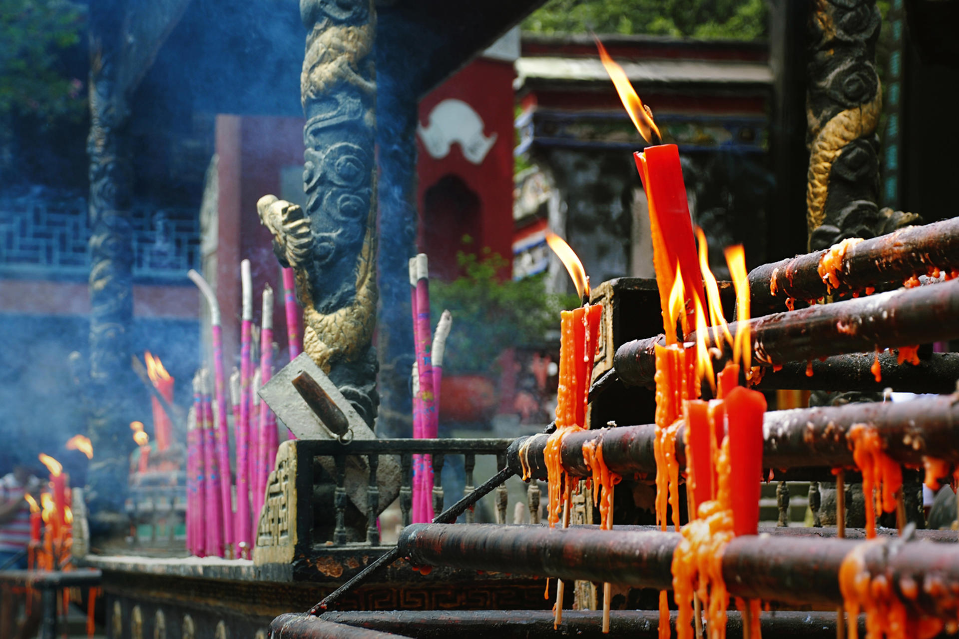 Dujiangyan + Panda Park/Mount Qingcheng Day Tour - Thumbnail 3