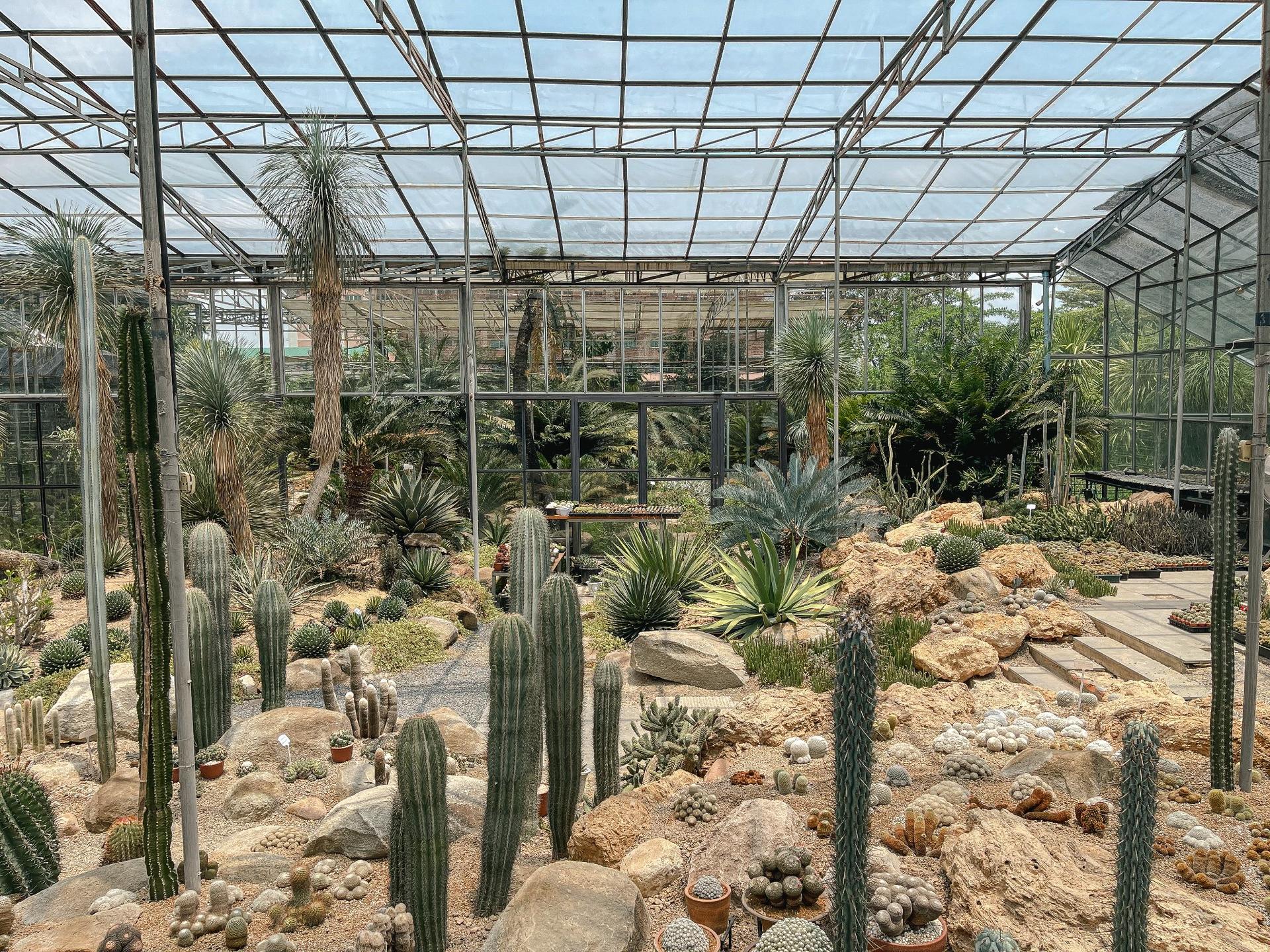Bangkok Safari World, Botanist Activity Space Cafe, and Jodd Fairs  - Thumbnail 7