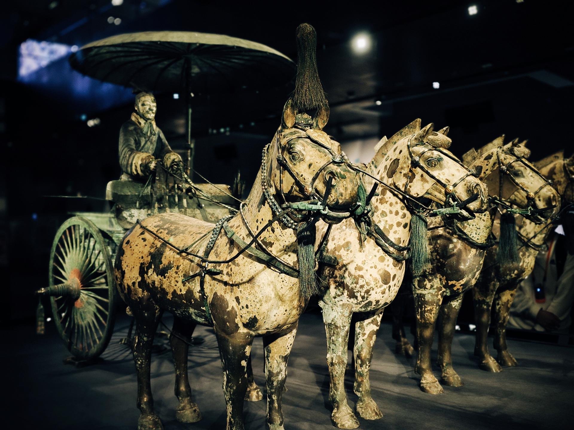Xi'an Terracotta Army of Emperor Qinshihuang + Lishan Garden + Authentic Biang Biang Noodles 1-Day Tour (Small Group of 15) - Thumbnail 3