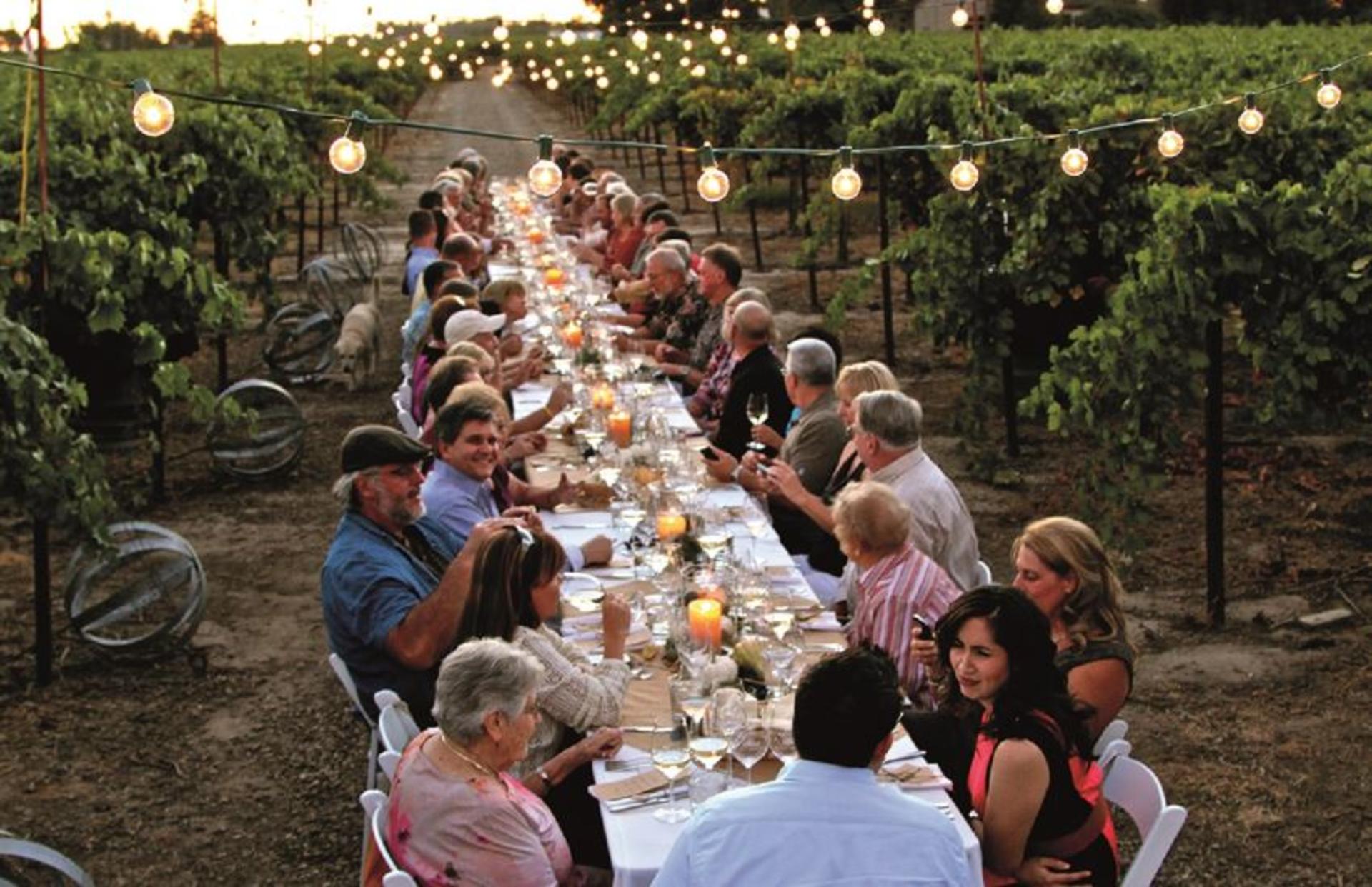 Chianti Vineyards Tour with Wine Tasting & Dinner from Florence - Image 1