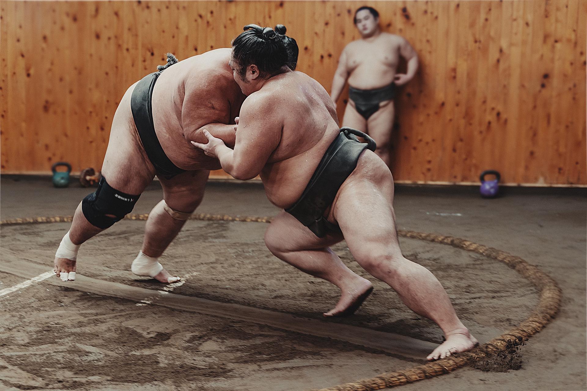 Sumo Morning Practice with Local Guide | Tokyo & More - Thumbnail 2