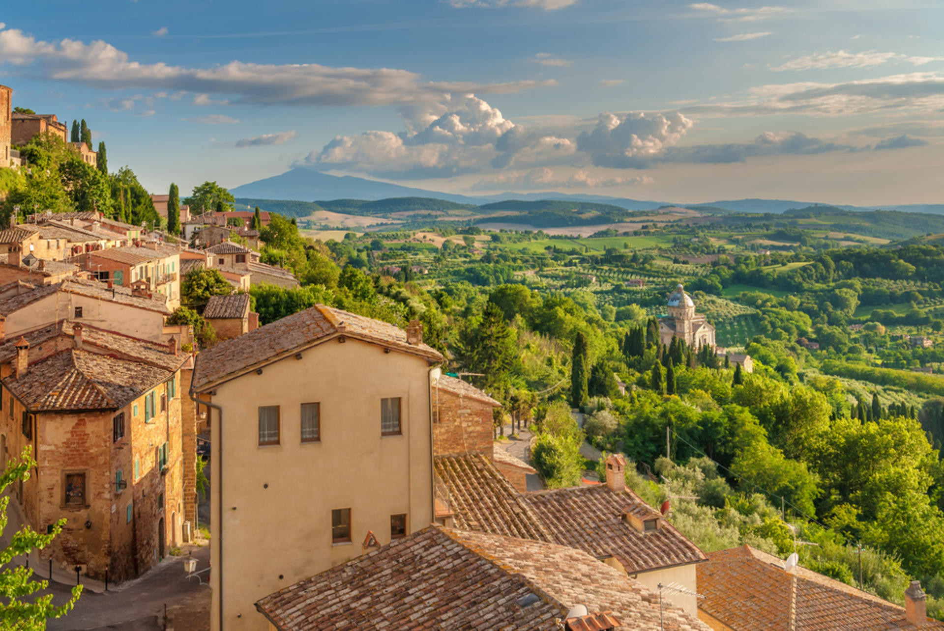 From Siena: Best of Tuscany Wines & Lunch in Montepulciano - Thumbnail 4
