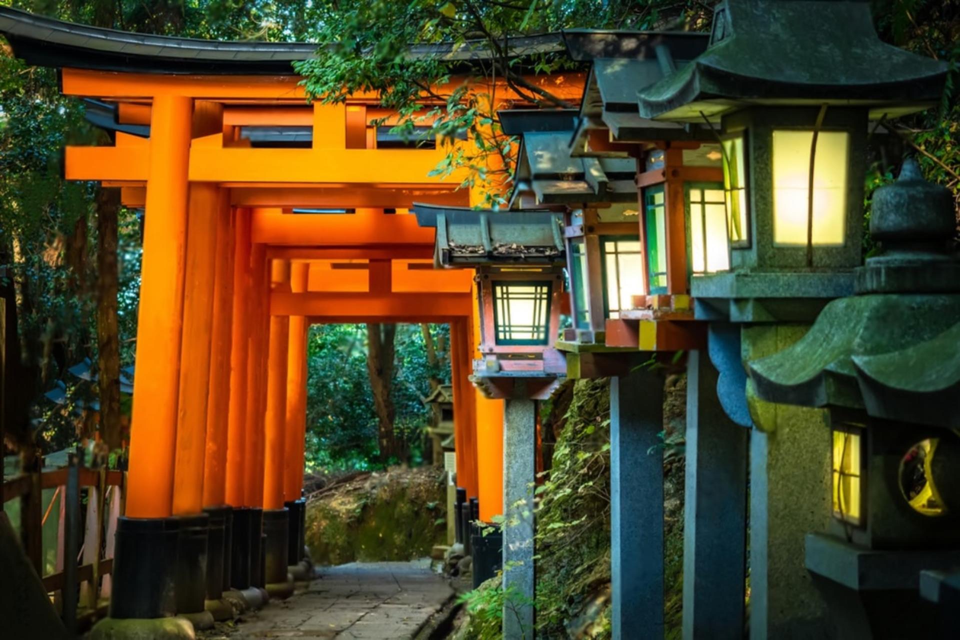 Kyoto Highlights Private Day Trip (Departure from Osaka/Kyoto) - Thumbnail 14