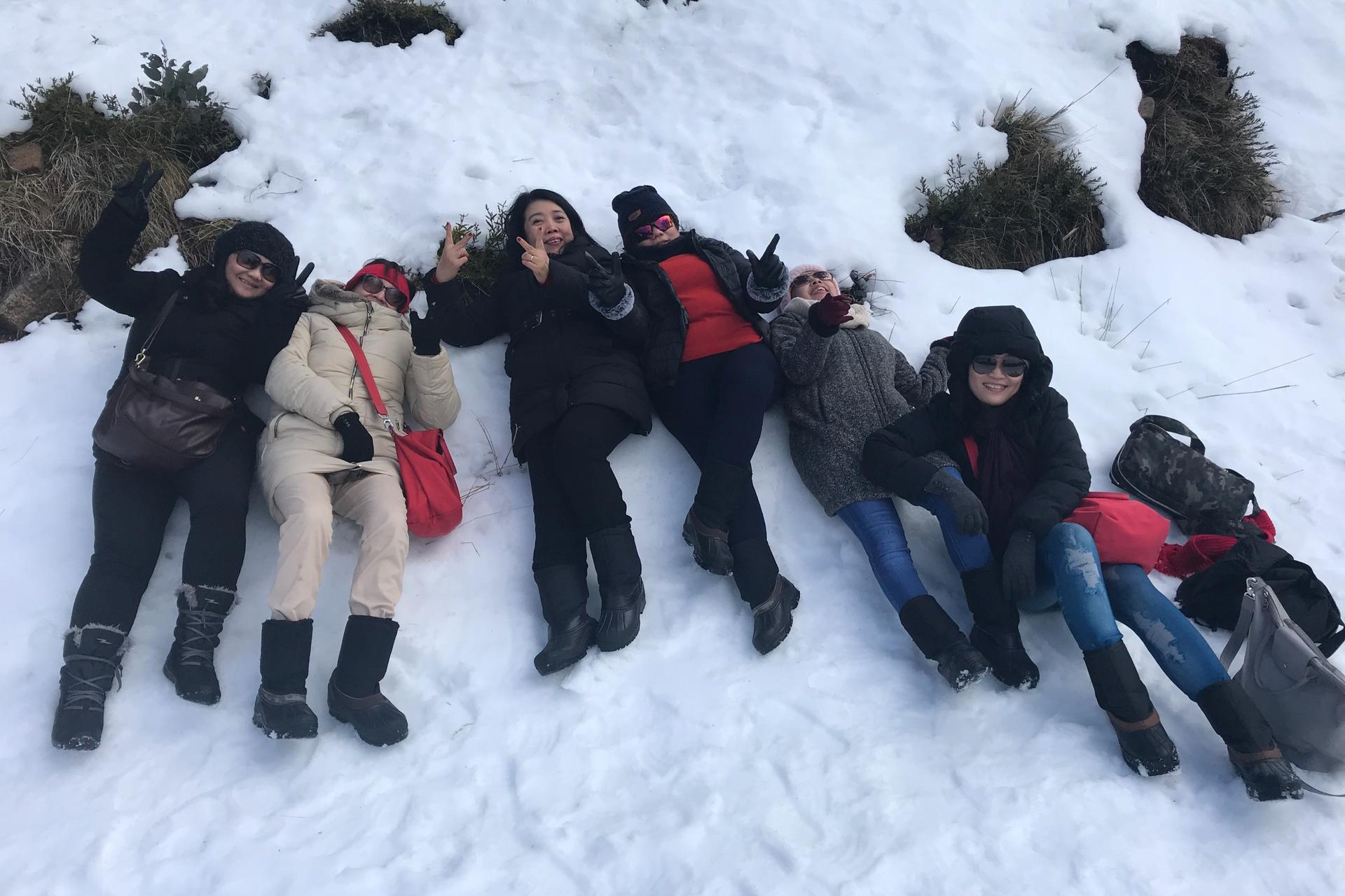 Mt Buller Small Group Boutique Tour with Exclusive Circuit Walk - Thumbnail 10