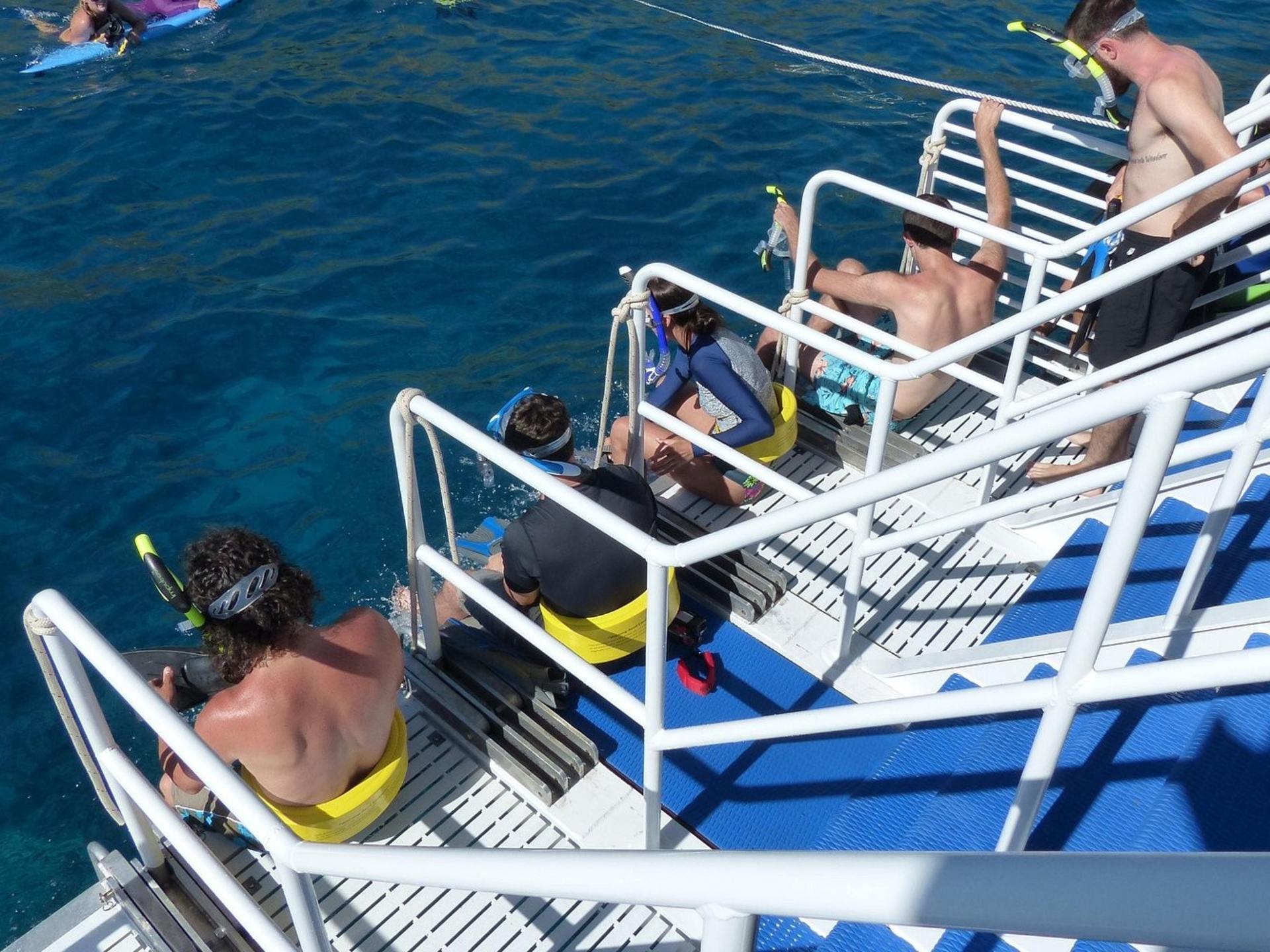 Molokini & Turtle Town Snorkel Adventure Aboard Calypso Catamaran - Thumbnail 8