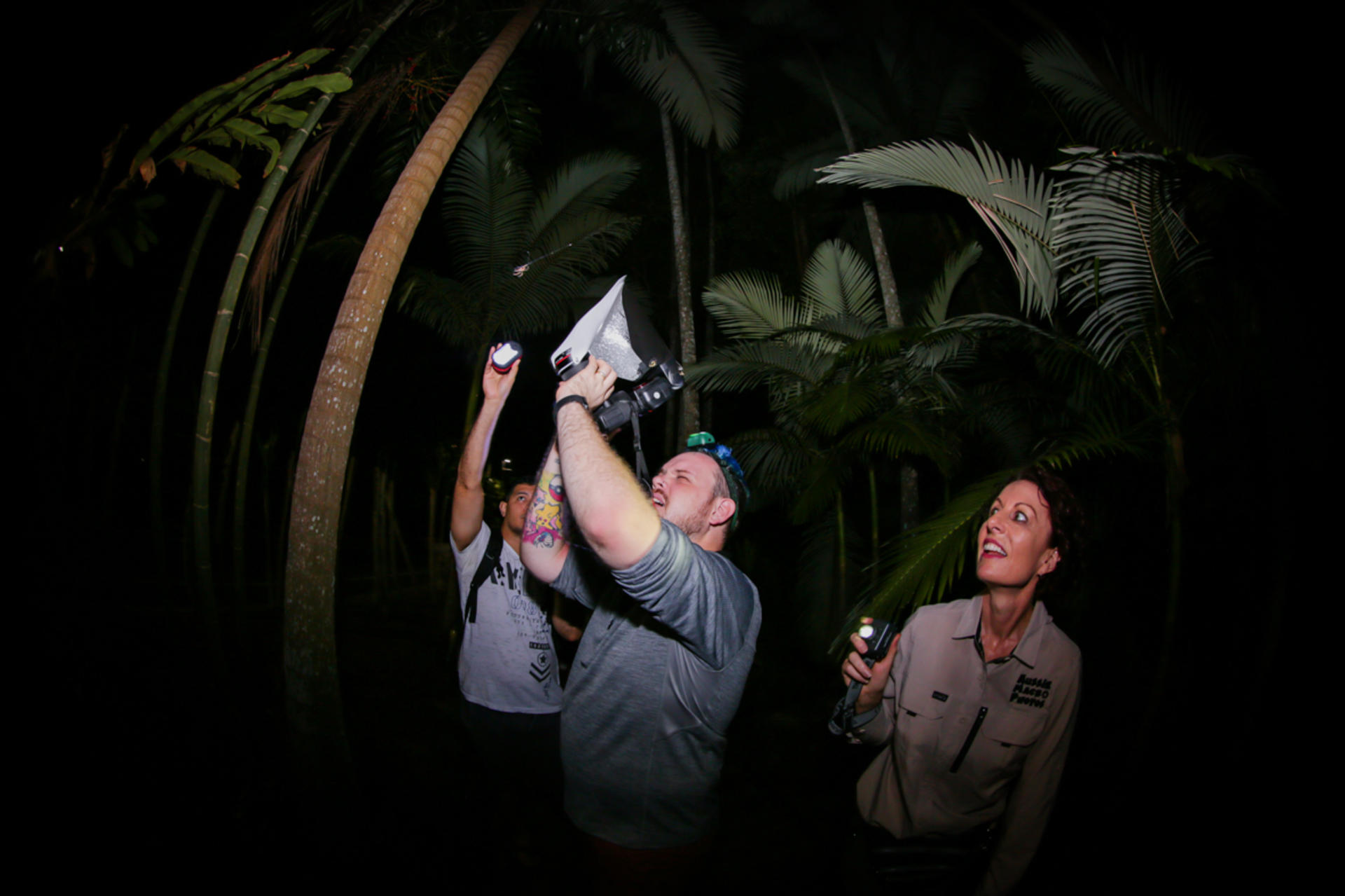 Night Walk Photography Tour at the Cairns Botanic Gardens  - Thumbnail 4