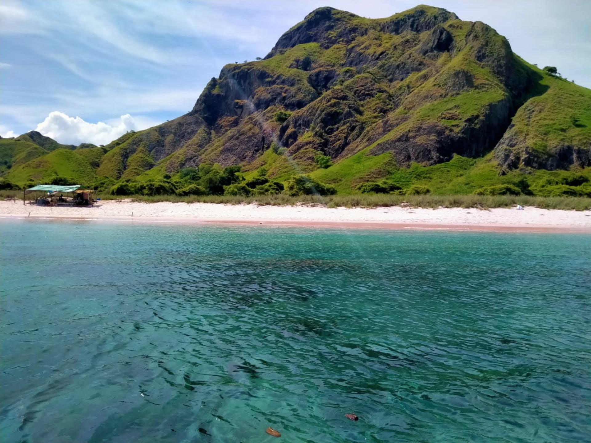 Labuan Bajo Komodo National Park Full-Day National Park Experience - Thumbnail 3