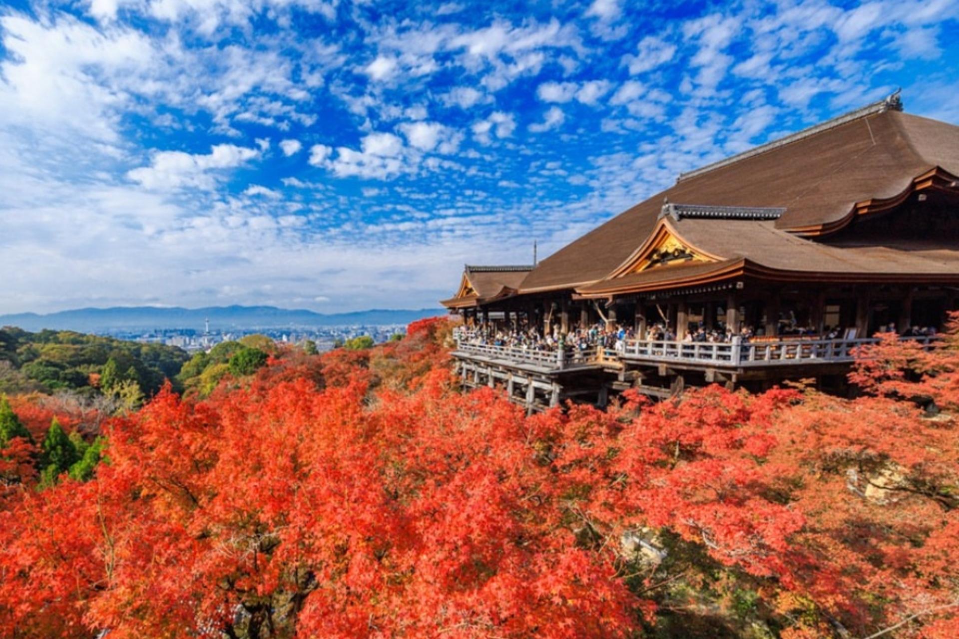 Kyoto Kinkaku-ji, Kiyomizu-dera, and Uji One-Day Tour - Thumbnail 4