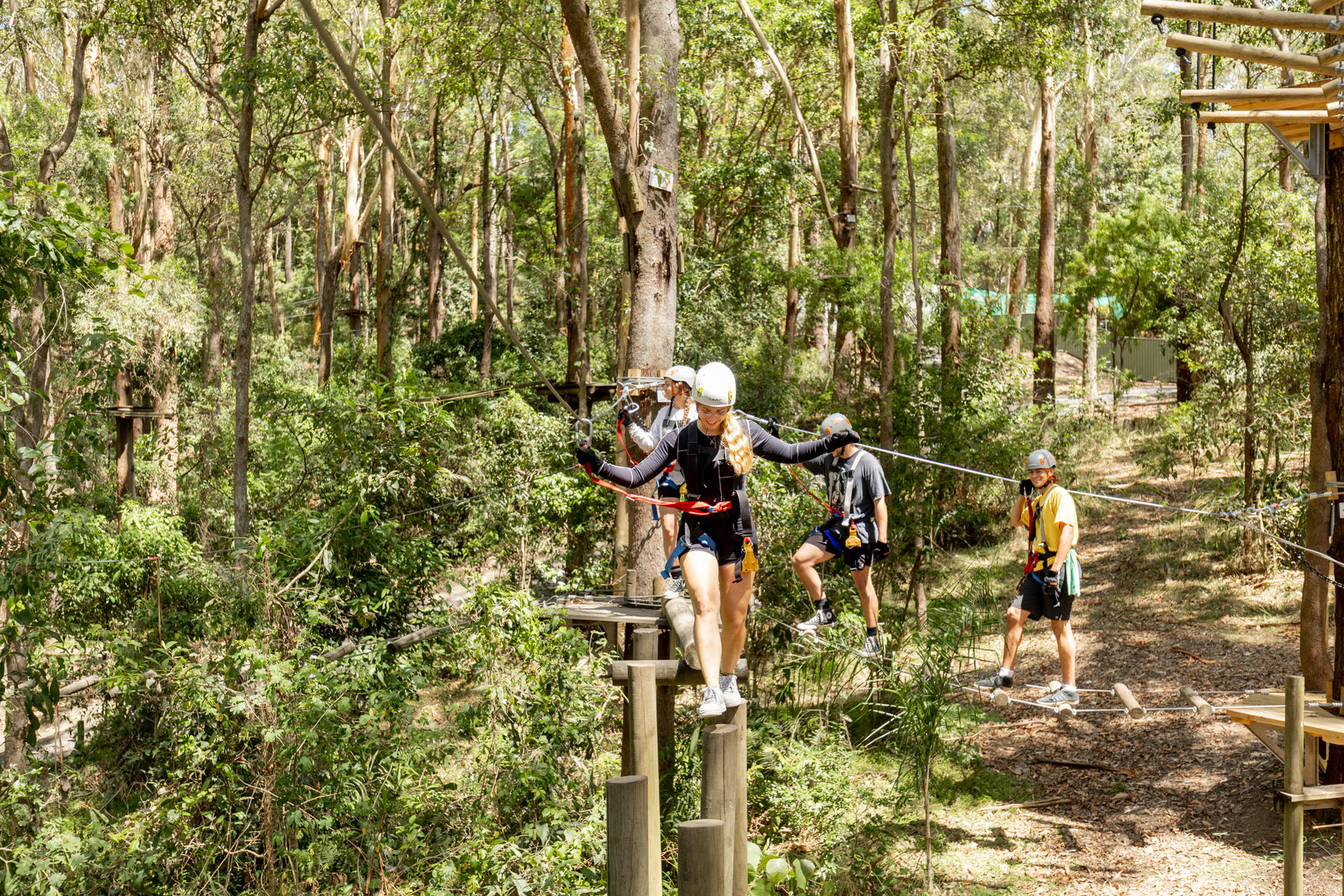 Experience Pass Currumbin Wildlife Sanctuary and Zipline - Thumbnail 12