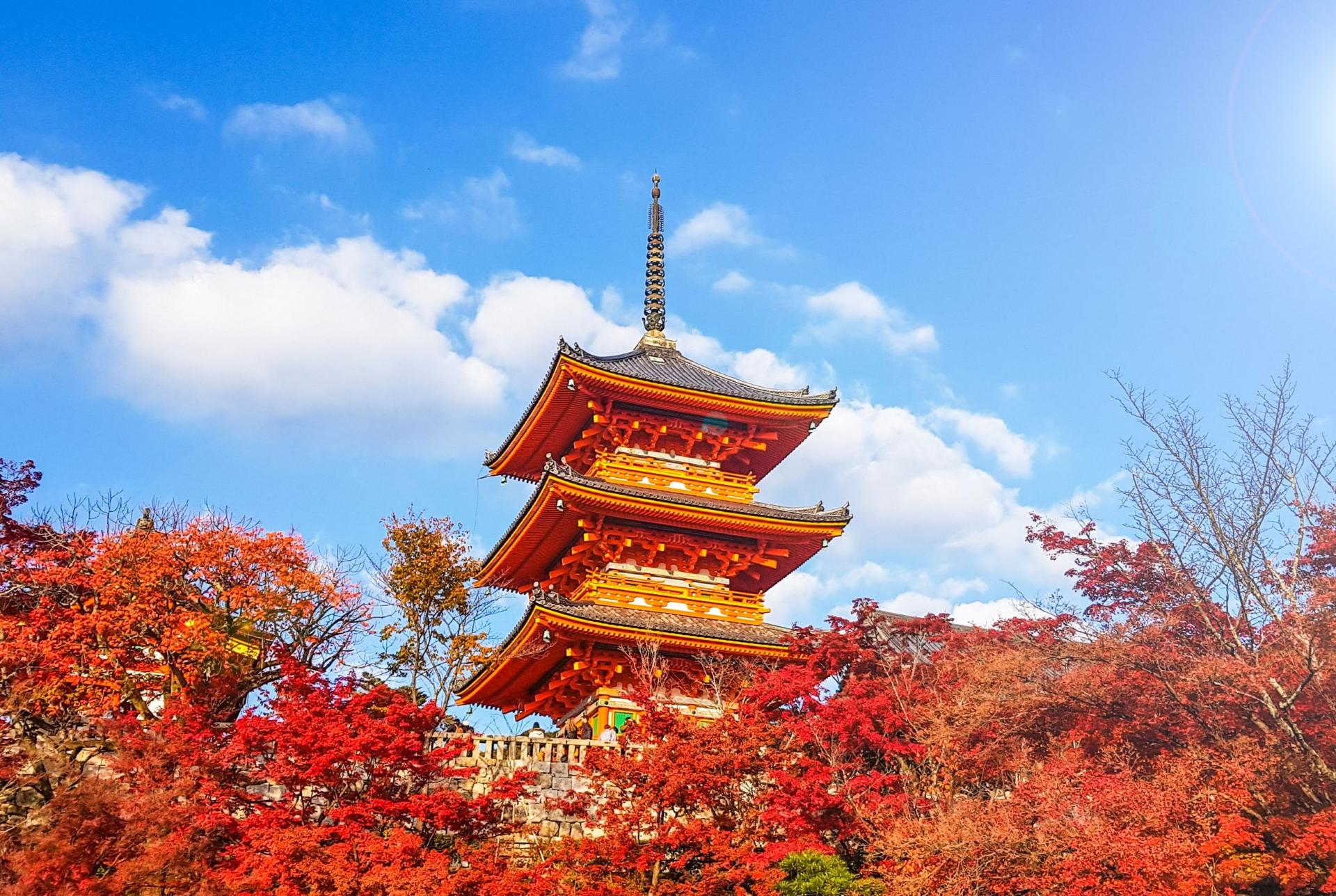 Best of Kyoto & Nara: Kiyomizudera, Nara Park, Todaiji & Much More - Thumbnail 7