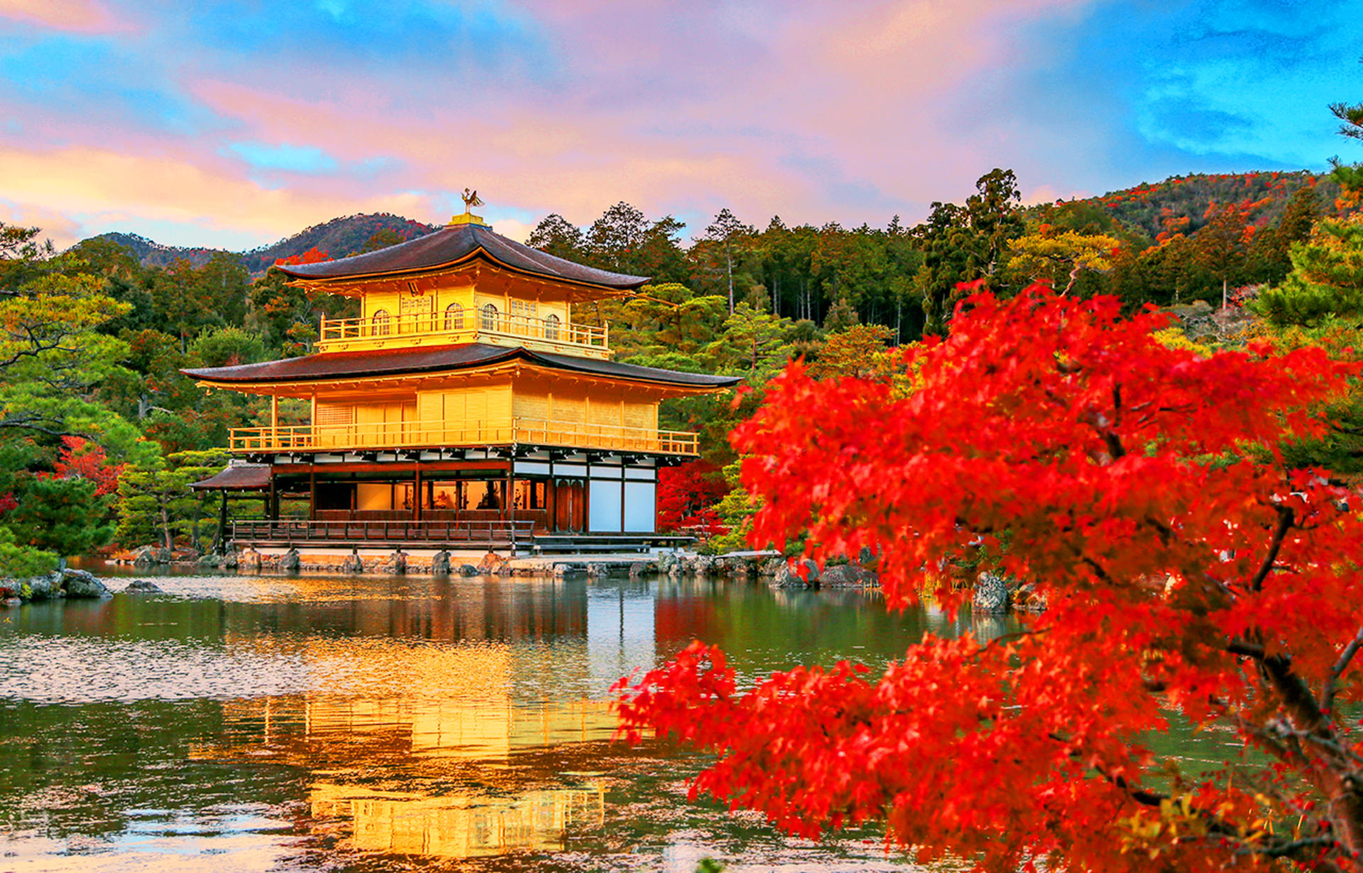 Kinkaku-ji Temple & Arashiyama Night Train Illuminations Autumn Foliage Viewing Day Tour - Thumbnail 4