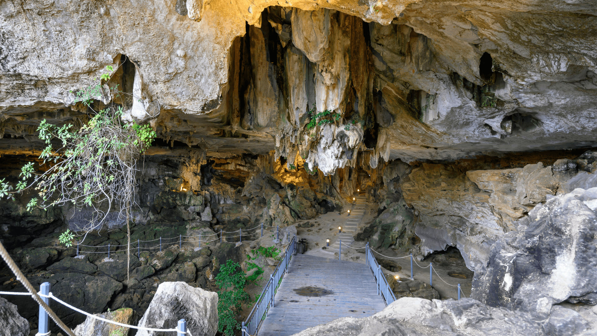 Catherine Horizon Day Cruise: Ha Long Bay with Sung Sot & Ti Top - Thumbnail 15