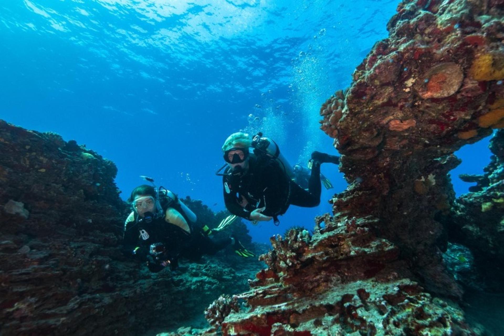 Shallow Reef - Snorkeling or Diving Tour in Oahu - Thumbnail 2