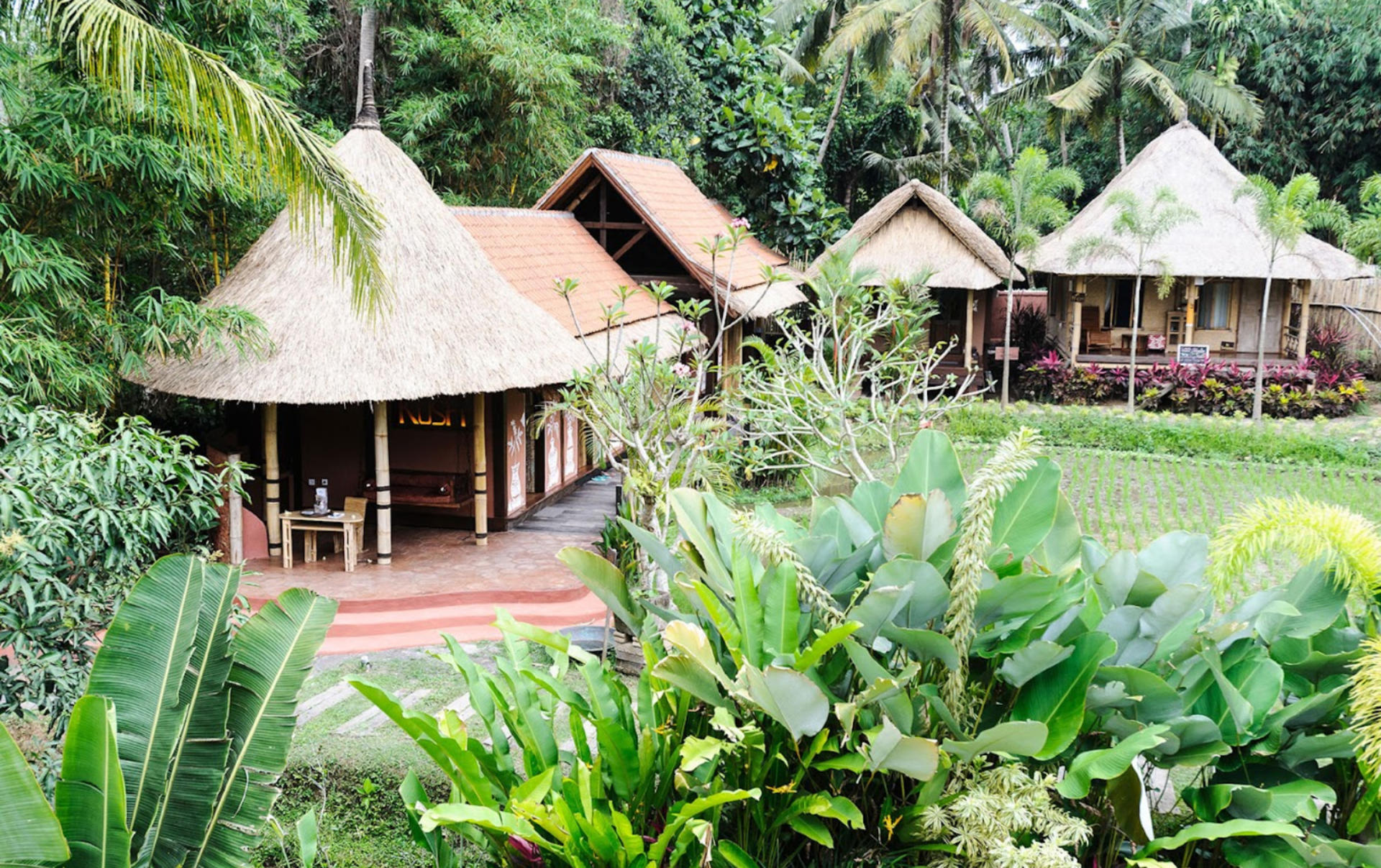 Yoga Experience at The Yoga Barn and Food Tour in Ubud - Thumbnail 2