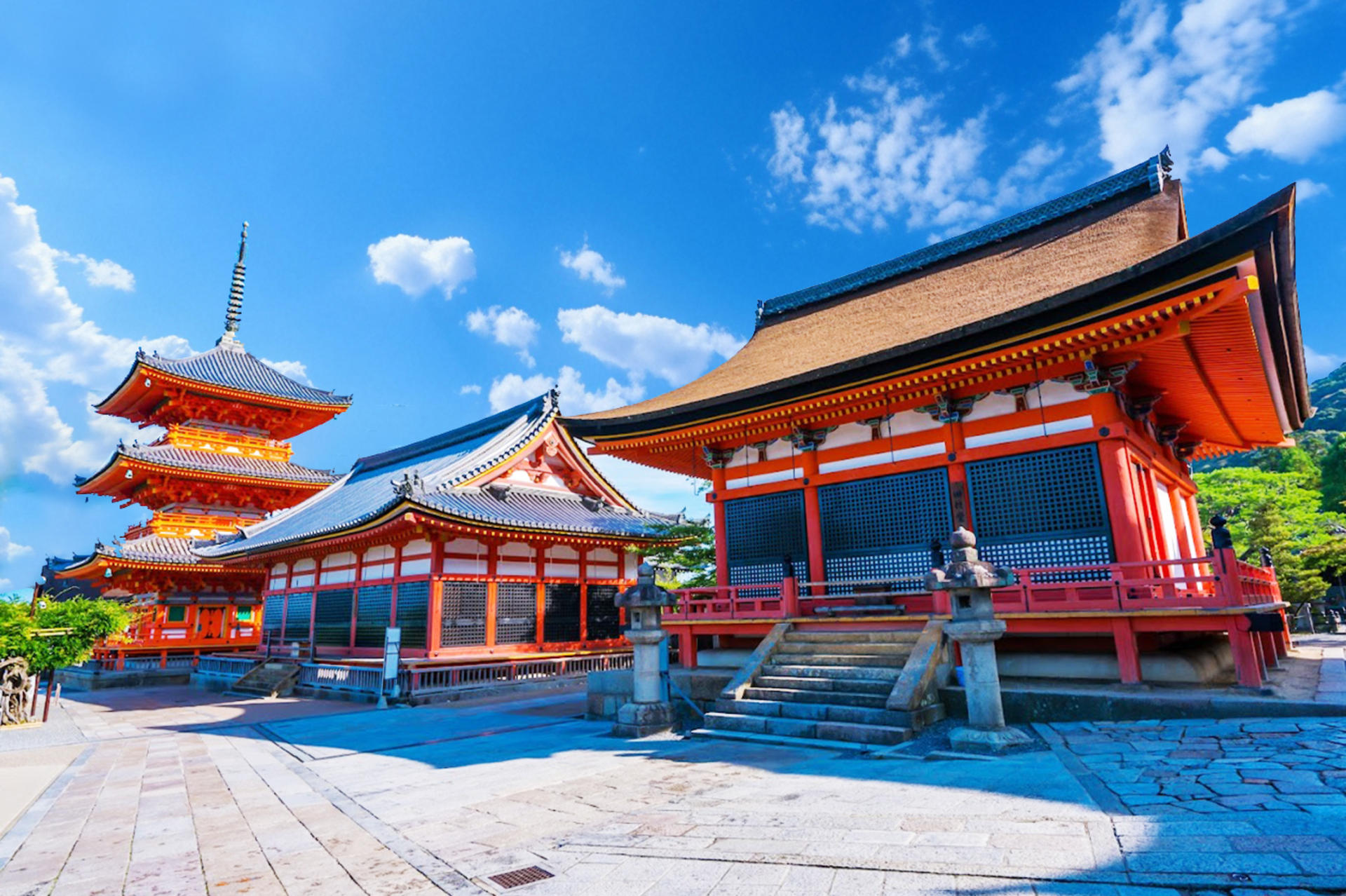 Kyoto & Uji World Heritage One-Day Tour: Kinkaku-ji Temple & Kiyomizu-dera Temple & Byodo-in Temple & Uji Matcha Food Street (Departing from Osaka or Kyoto) - Thumbnail 9