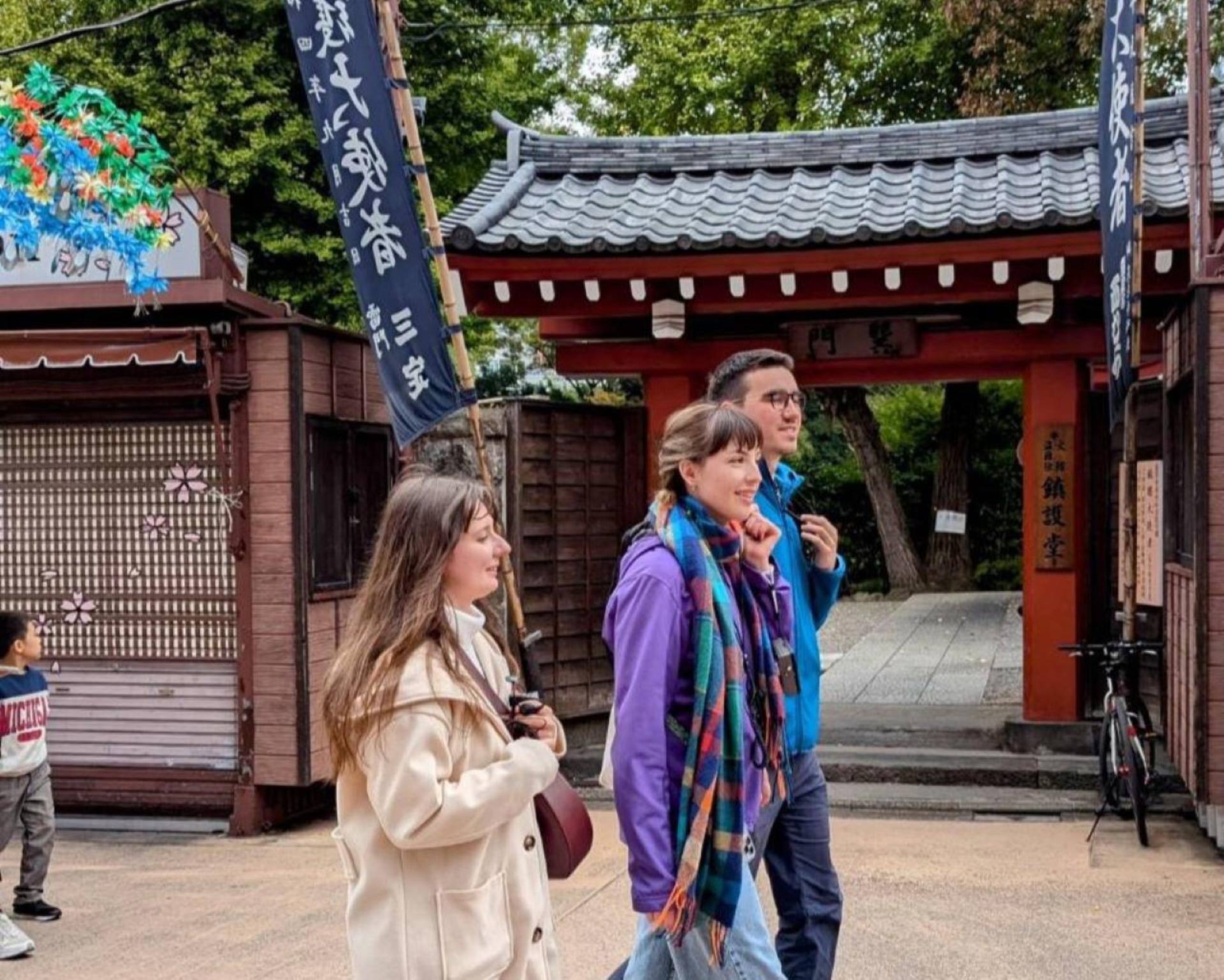 Asakusa: 3.5-hour Big-picture History Walk - Thumbnail 16